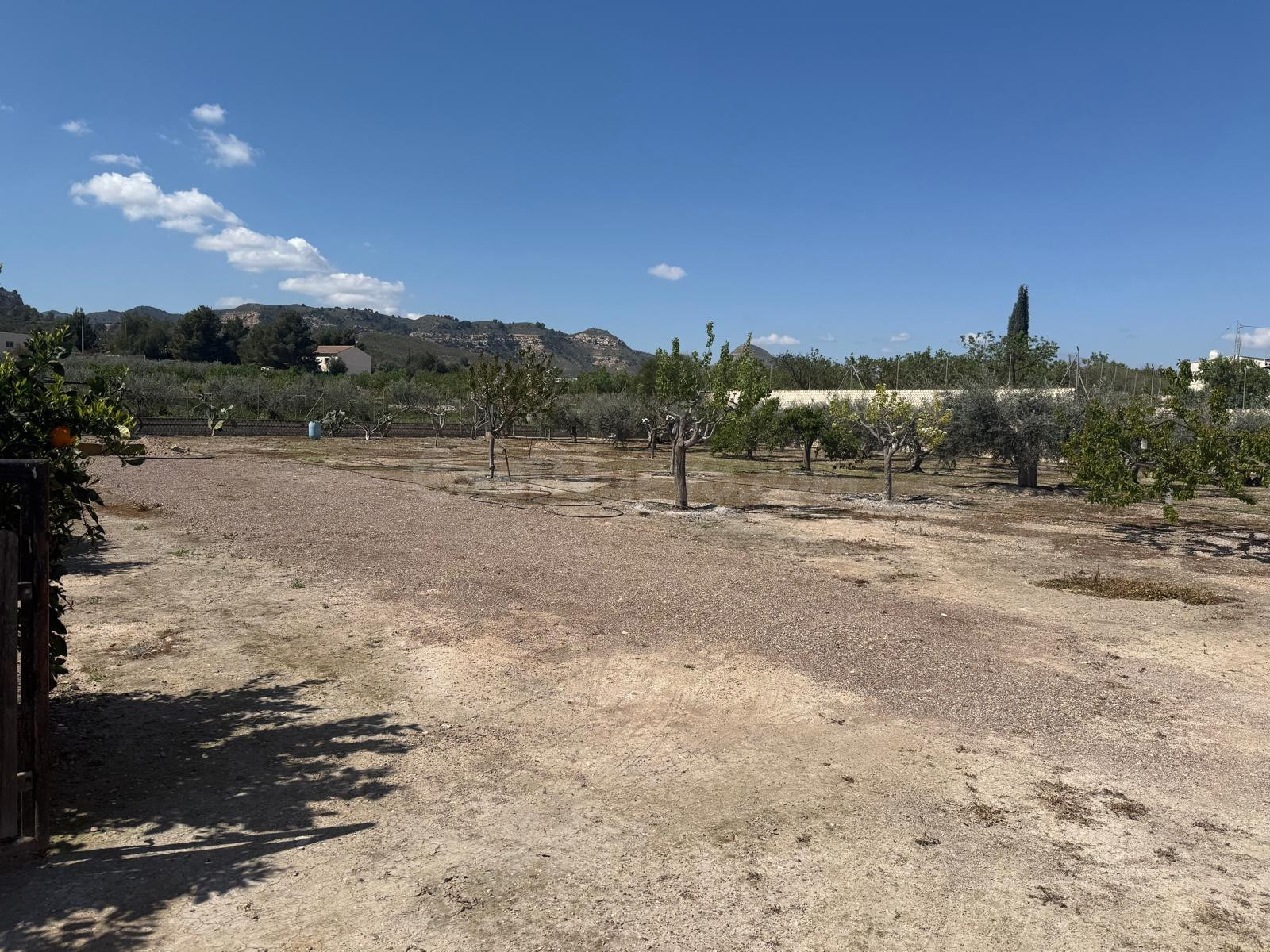 PARCELA EN VENTA - foto 5