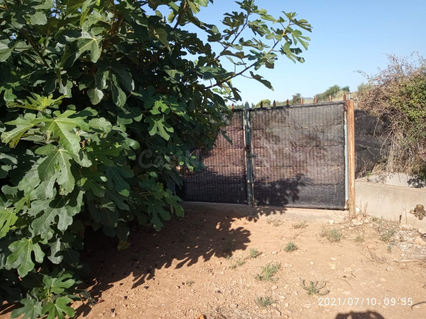 Terreno rural VENTA en Castellón zona NORTE, 3000 m. - foto 2