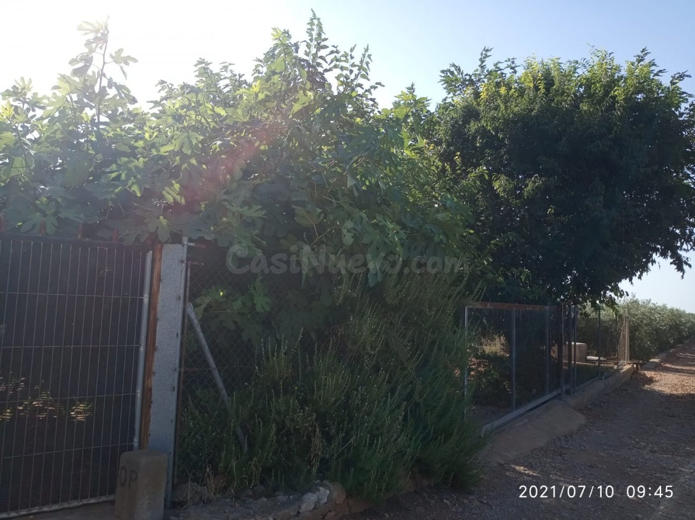 Terreno rural VENTA en Castellón zona NORTE, 3000 m. - foto 3
