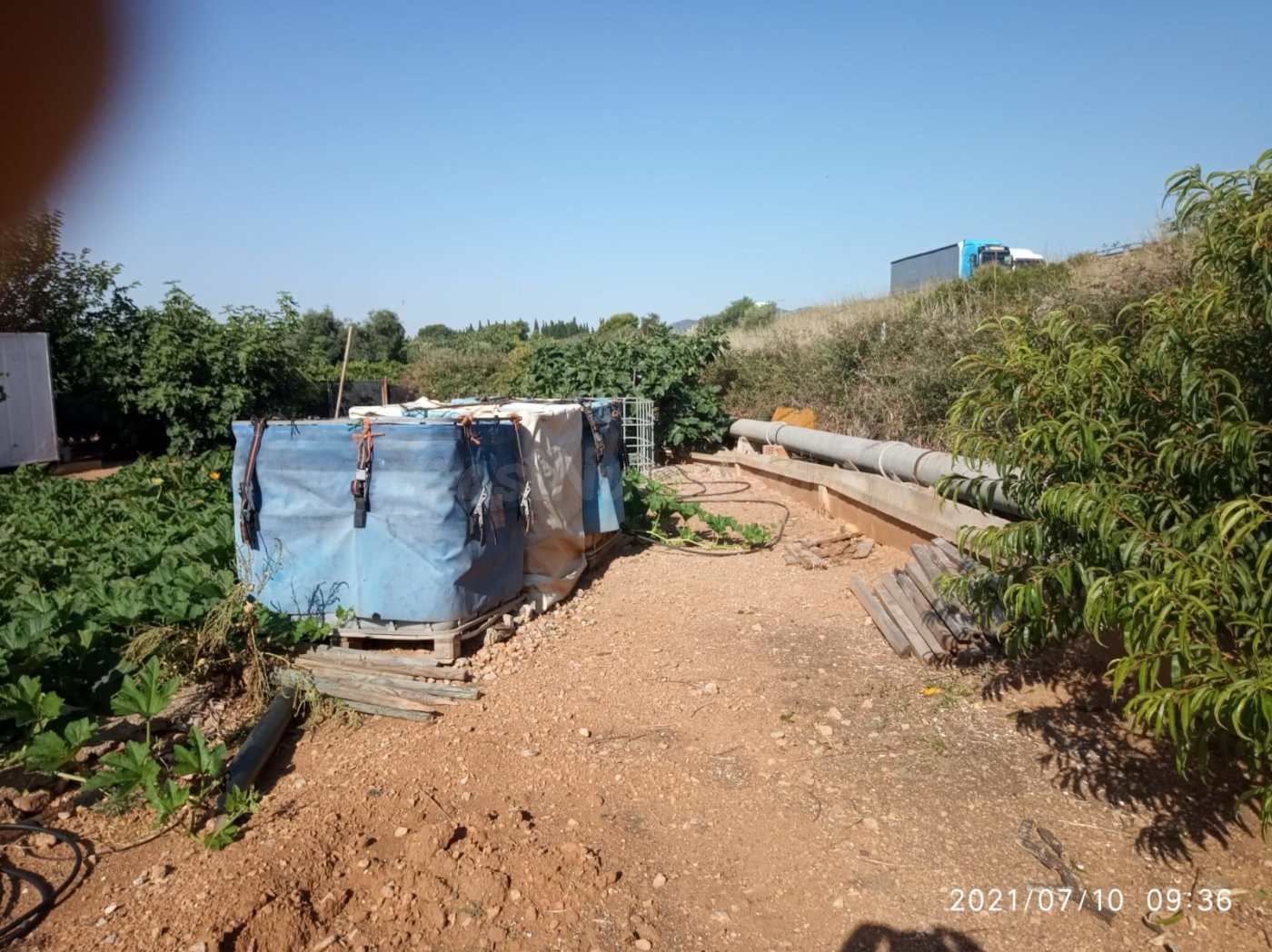 Terreno rural VENTA en Castellón zona NORTE, 3000 m. - foto 5