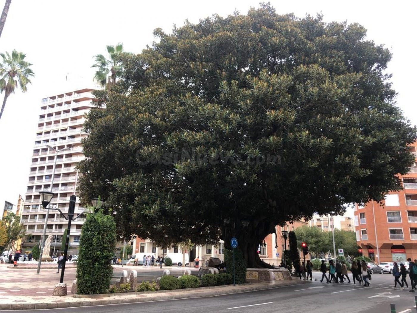 Local comercial VENTA en Castellón, zona Pz Maria Agustina,  - foto 2
