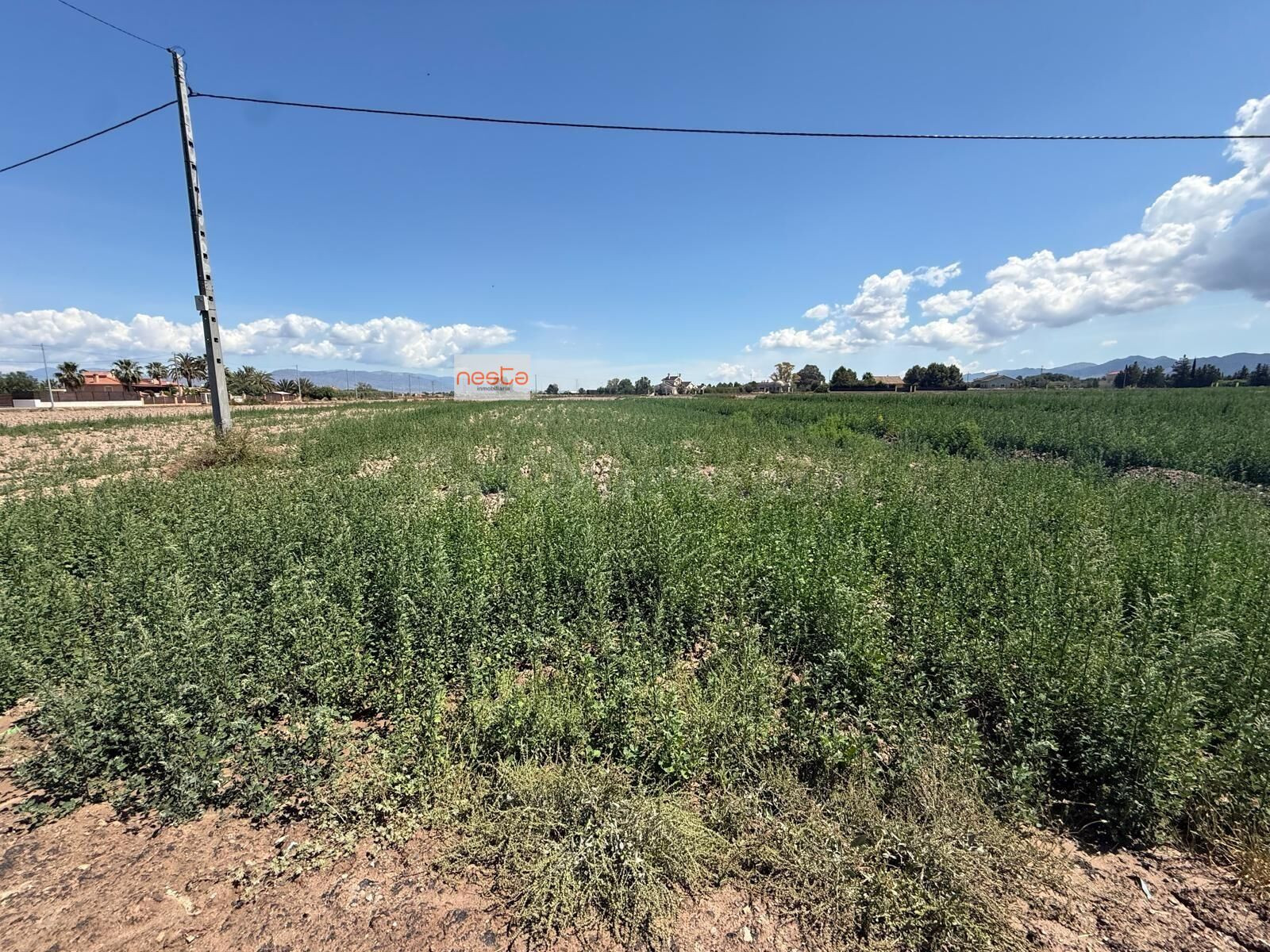 PARCELAS EN VENTA para Construcción de Chalets - foto 3