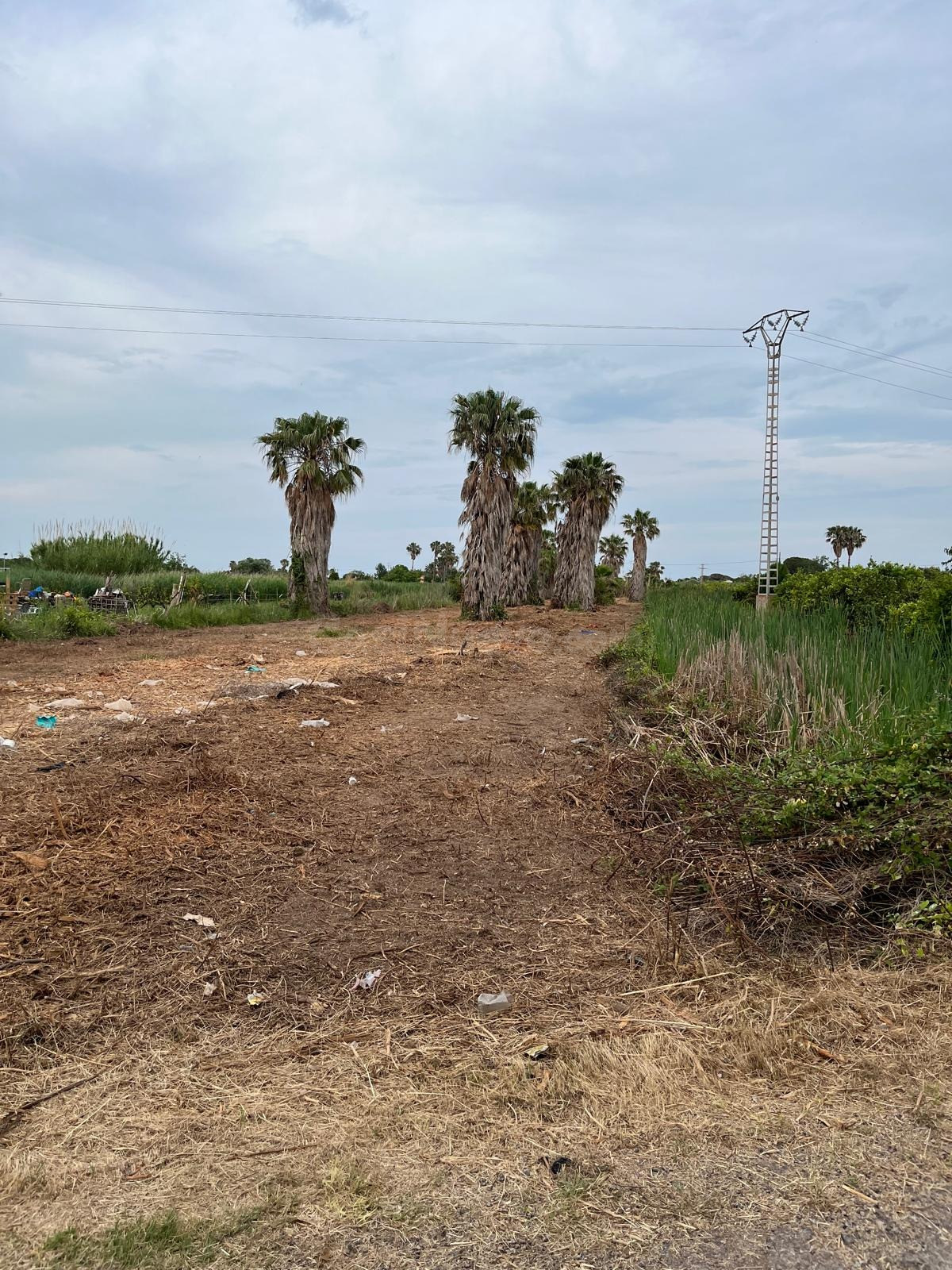 Parcela VENTA en Castellón, zona Camino La Plana, 3676m2 ter