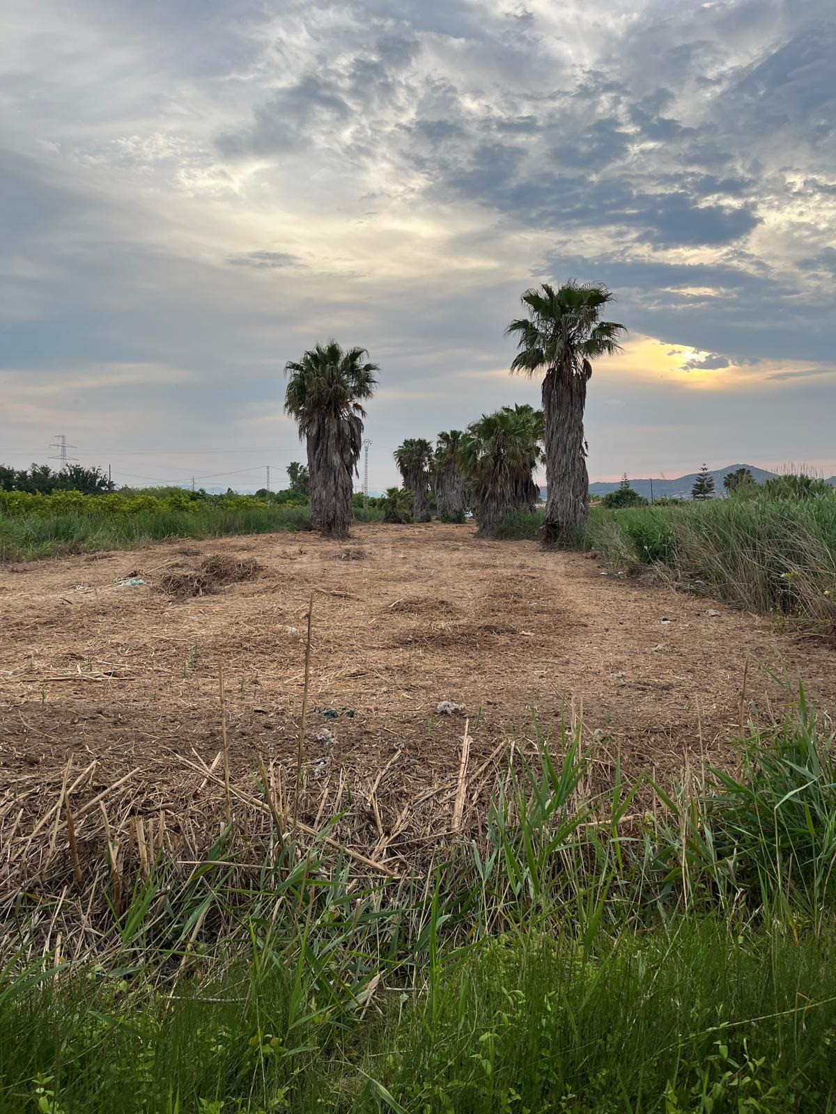 Parcela VENTA en Castellón, zona Camino La Plana, 3676m2 ter - foto 2