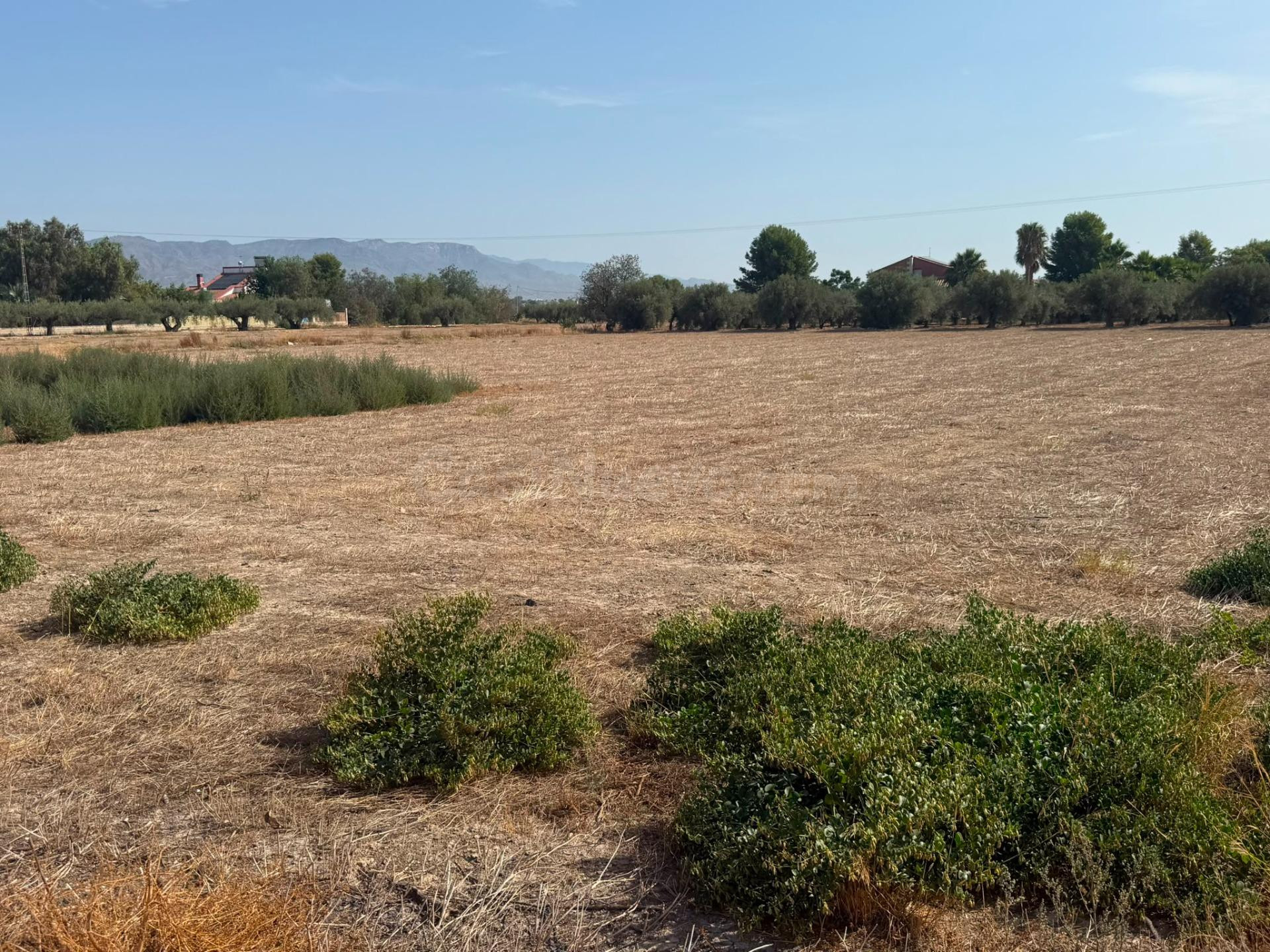 Oportunidad Única: Parcela en Cazalla para Construcción de C