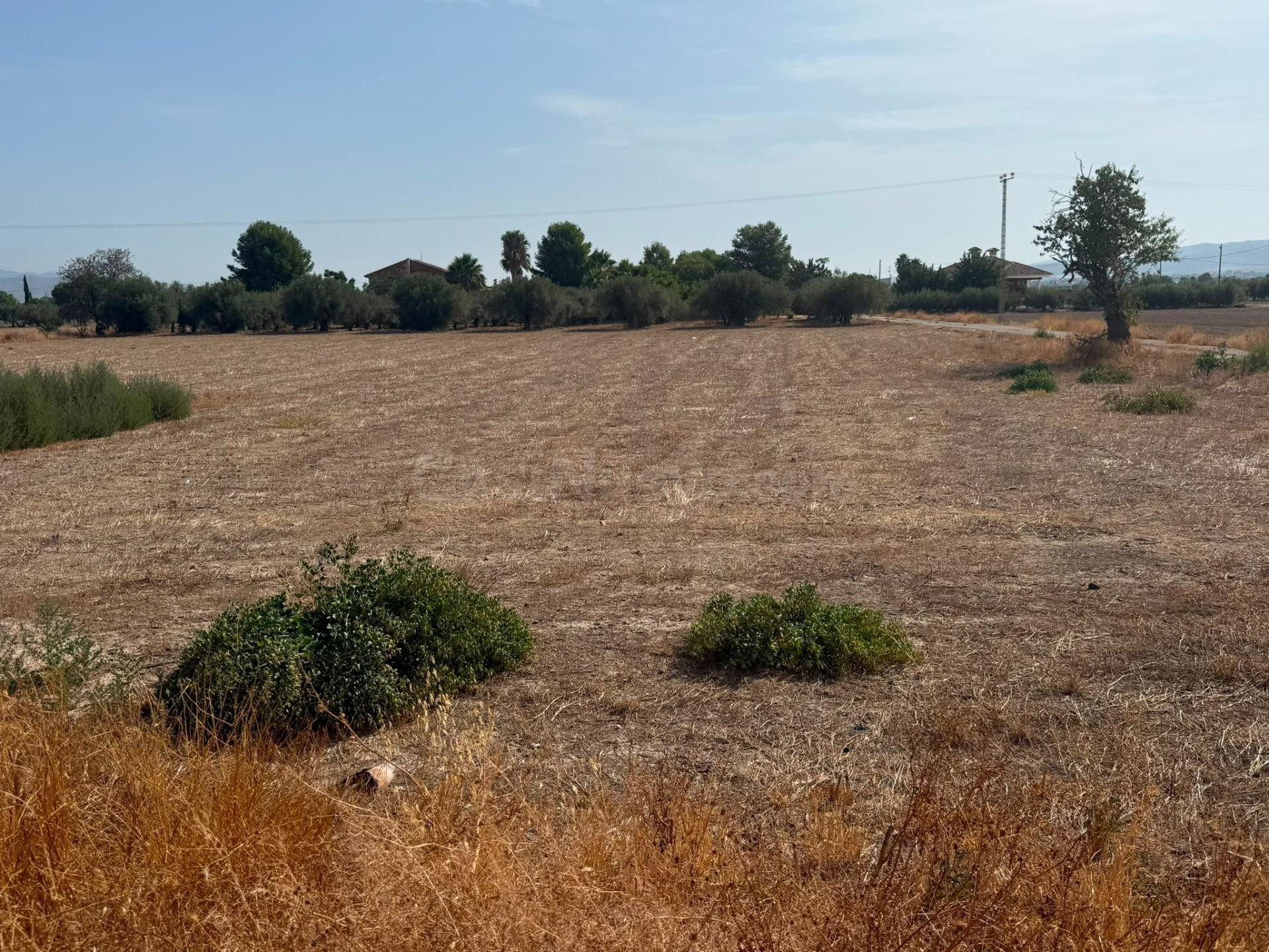 Oportunidad Única: Parcela en Cazalla para Construcción de C - foto 2