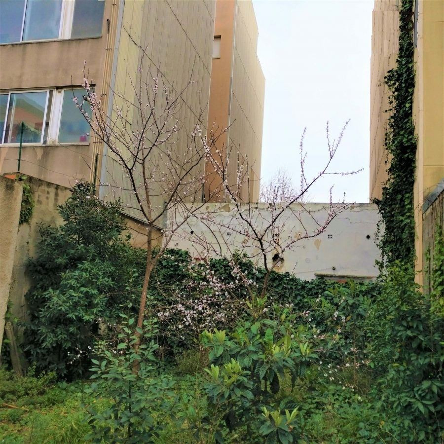 Parcela en venta - Centre - foto 5