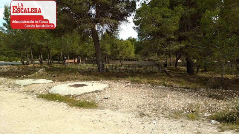 PARECELA A166. TEROL. TIBI