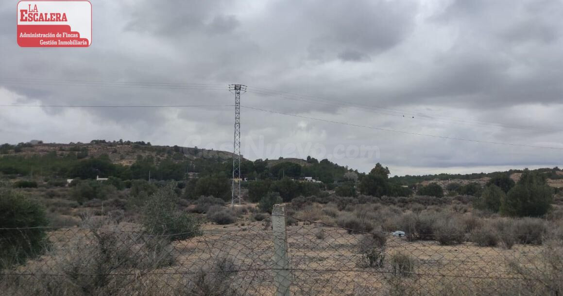 Se venden 3 parcelas de 10.000m2 cada una - foto 2