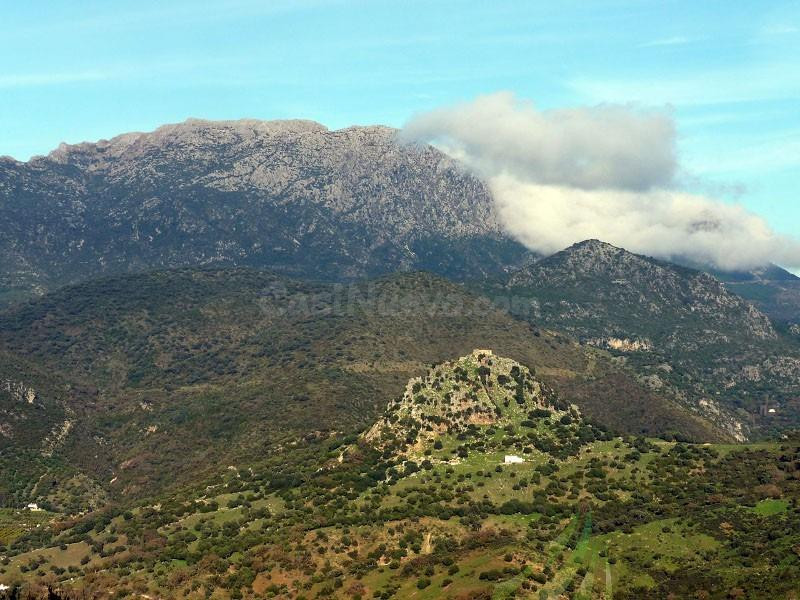 VENTA PARCELA ALREDEDORES DE EL BOSQUE - foto 2