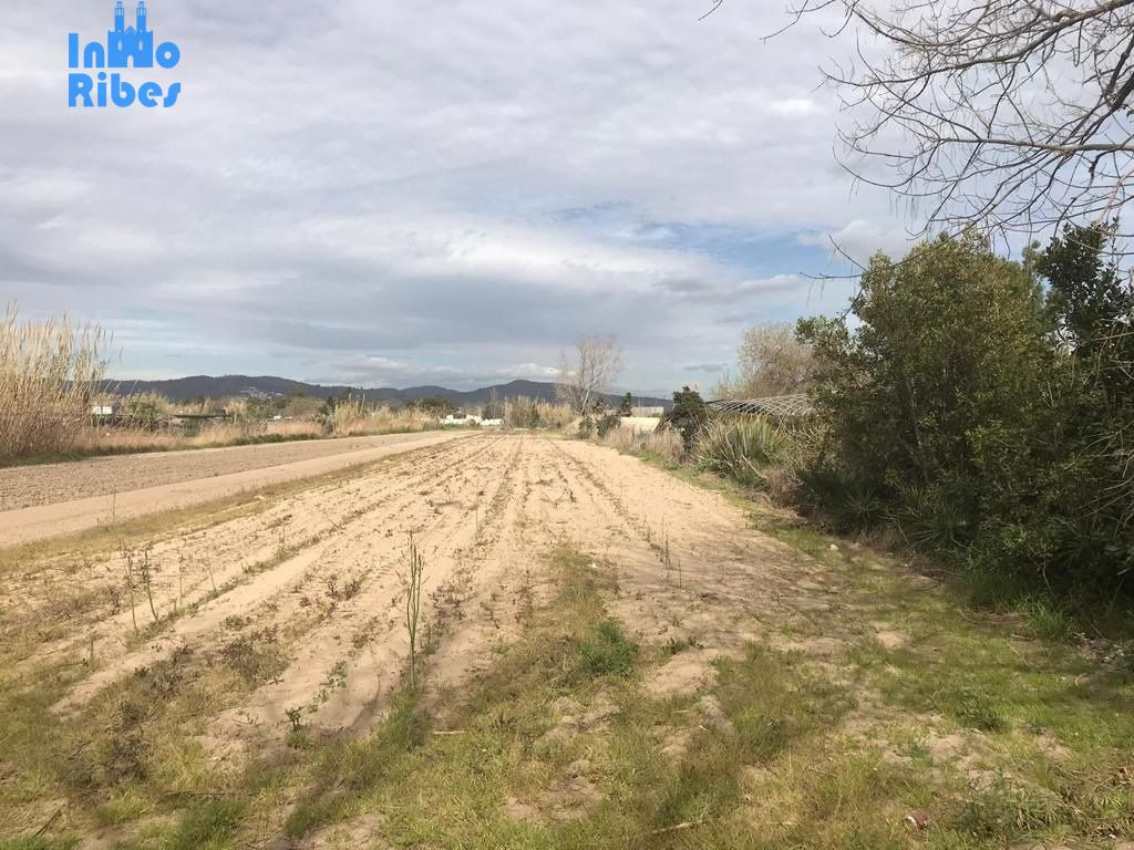 TERRENO RÚSTICO en VENTA - GAVÀ - BARCELONA - foto 2