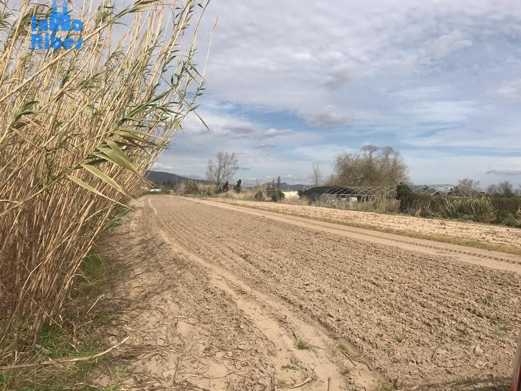 TERRENO RÚSTICO en VENTA - GAVÀ - BARCELONA - foto 3