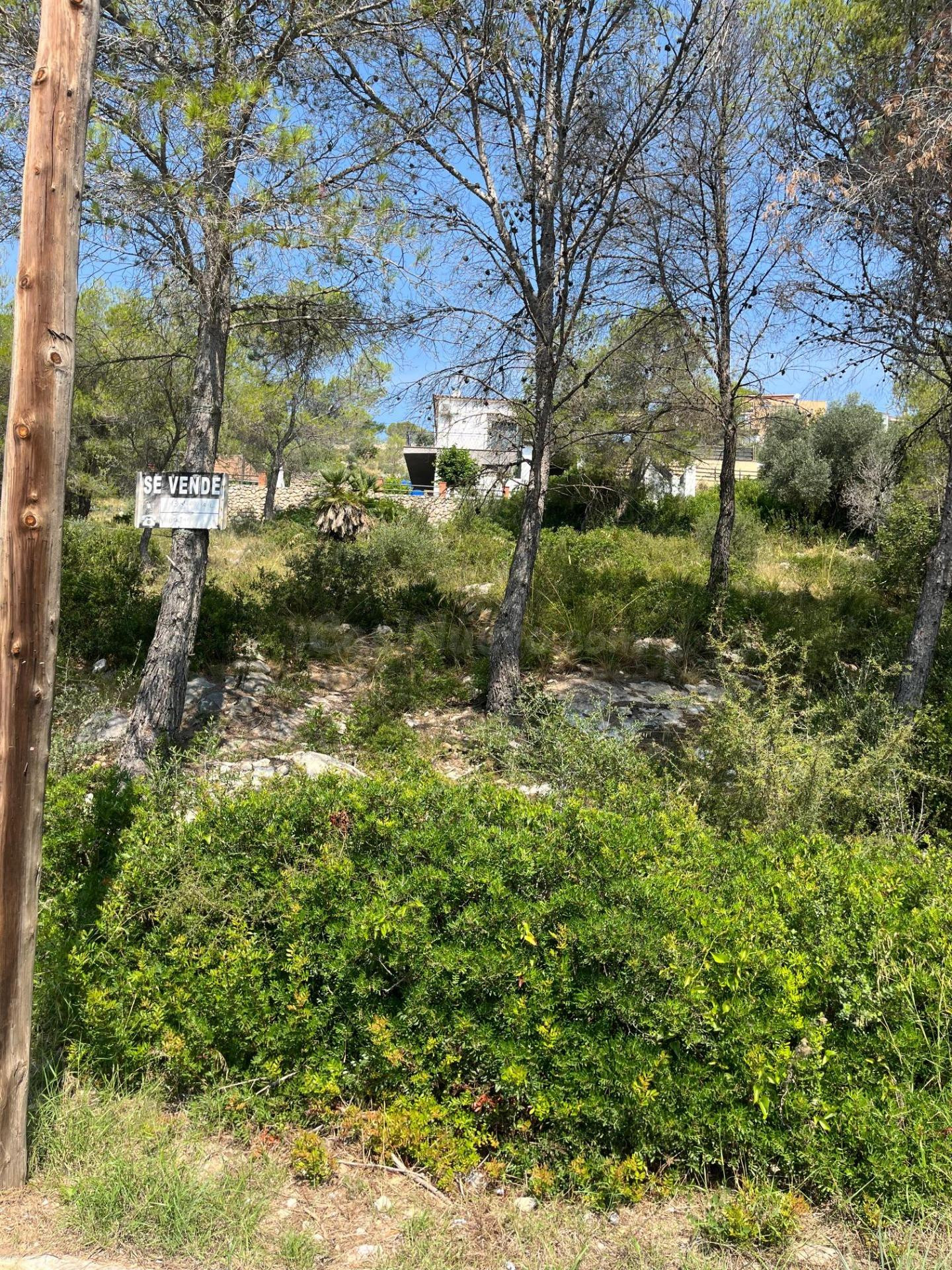 Terreno urbano en venta en Av. d´Olesa de Bonesvalls - foto 2
