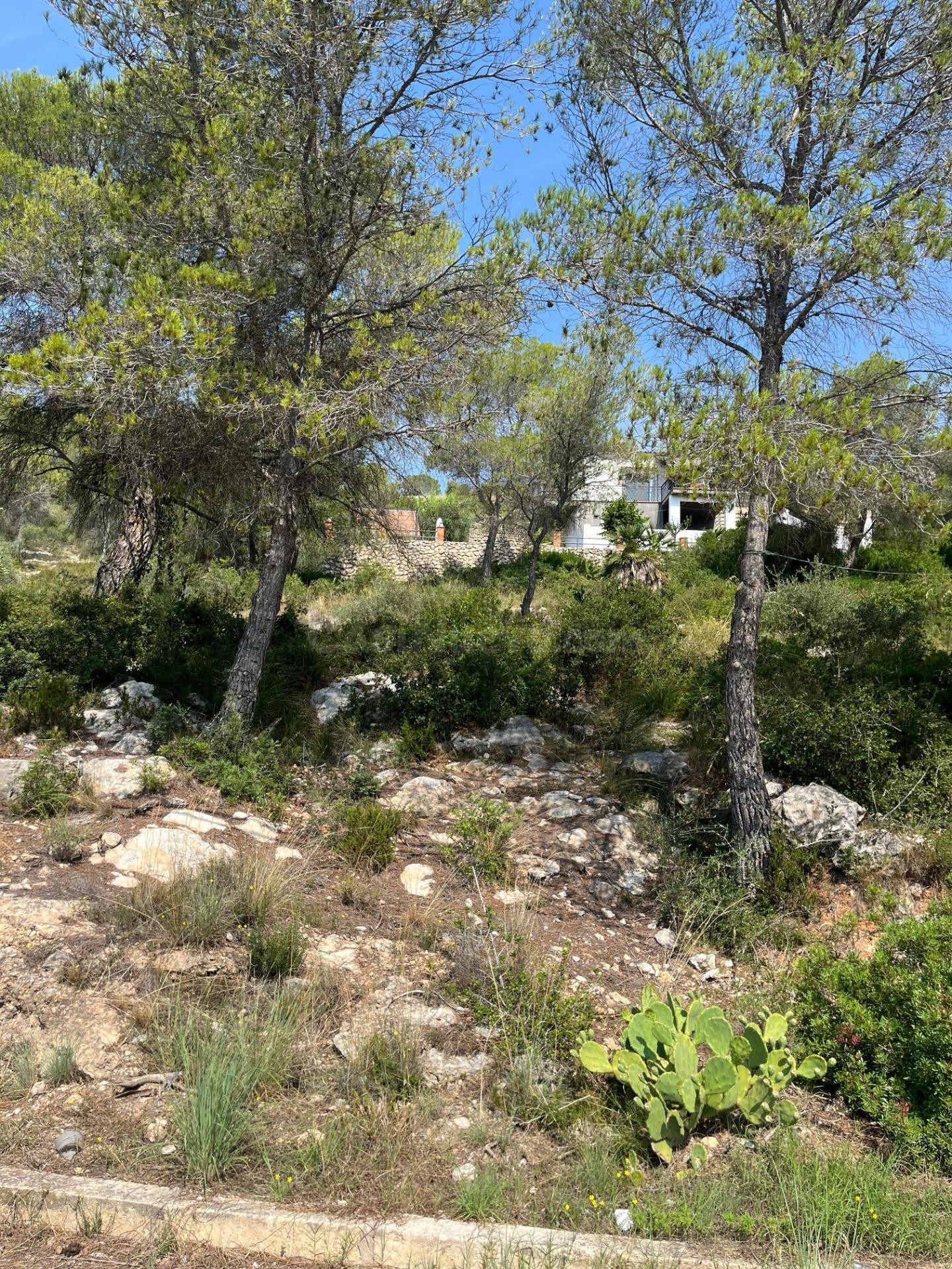 Terreno urbano en venta en Av. d´Olesa de Bonesvalls - foto 3