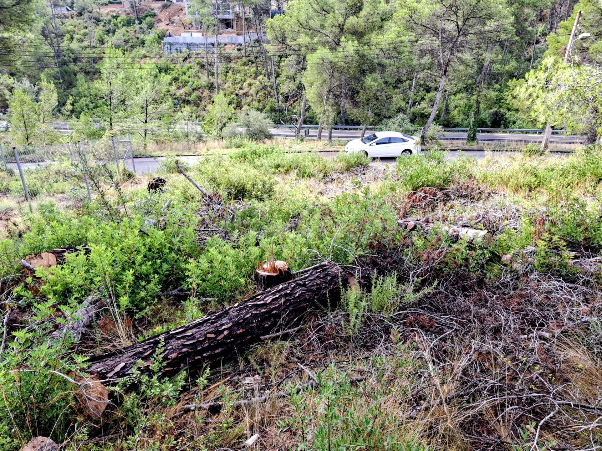 Terreno urbano en venta en Can Suria - foto 3