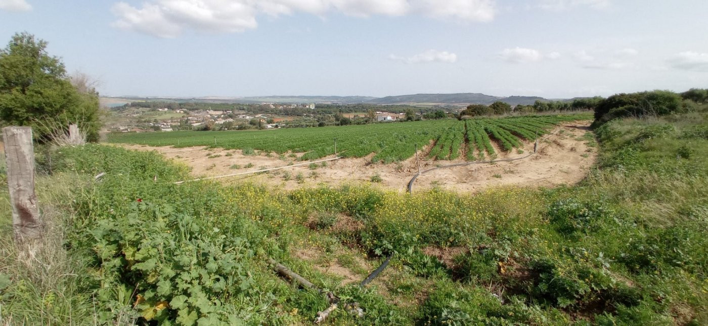 VENTA PARCELA ARCOS DE LA FRA. - foto 2