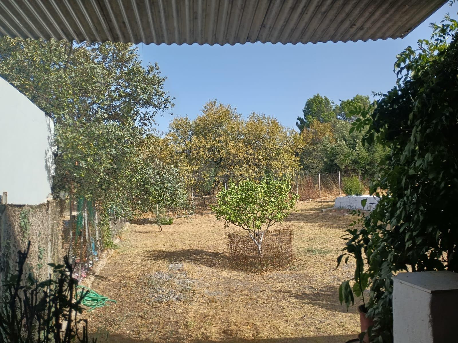 VENTA PARCELA CON CASA - foto 2