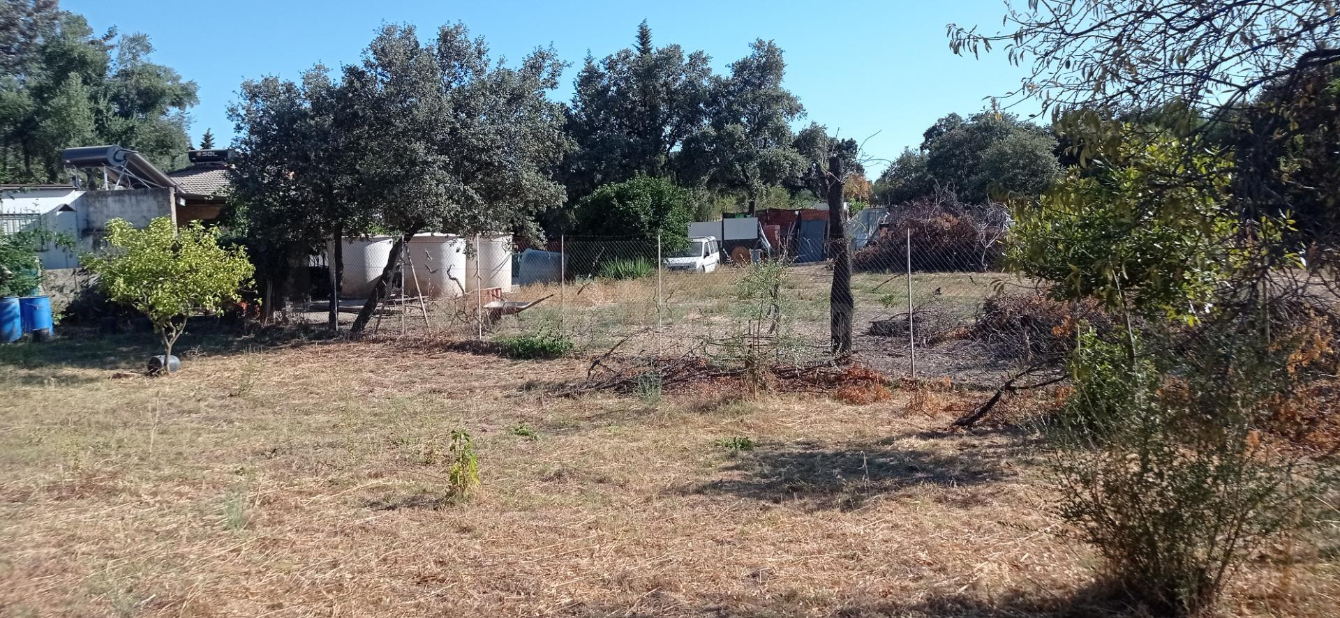 VENTA PARCELA CON CASA - foto 4