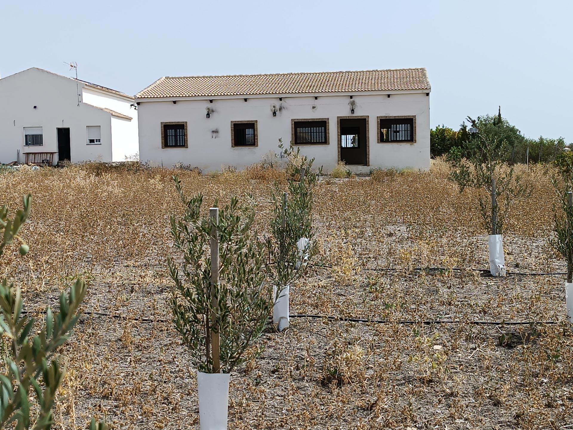 VENTA PARCELA CON CASA VILLAMARTIN - foto 4