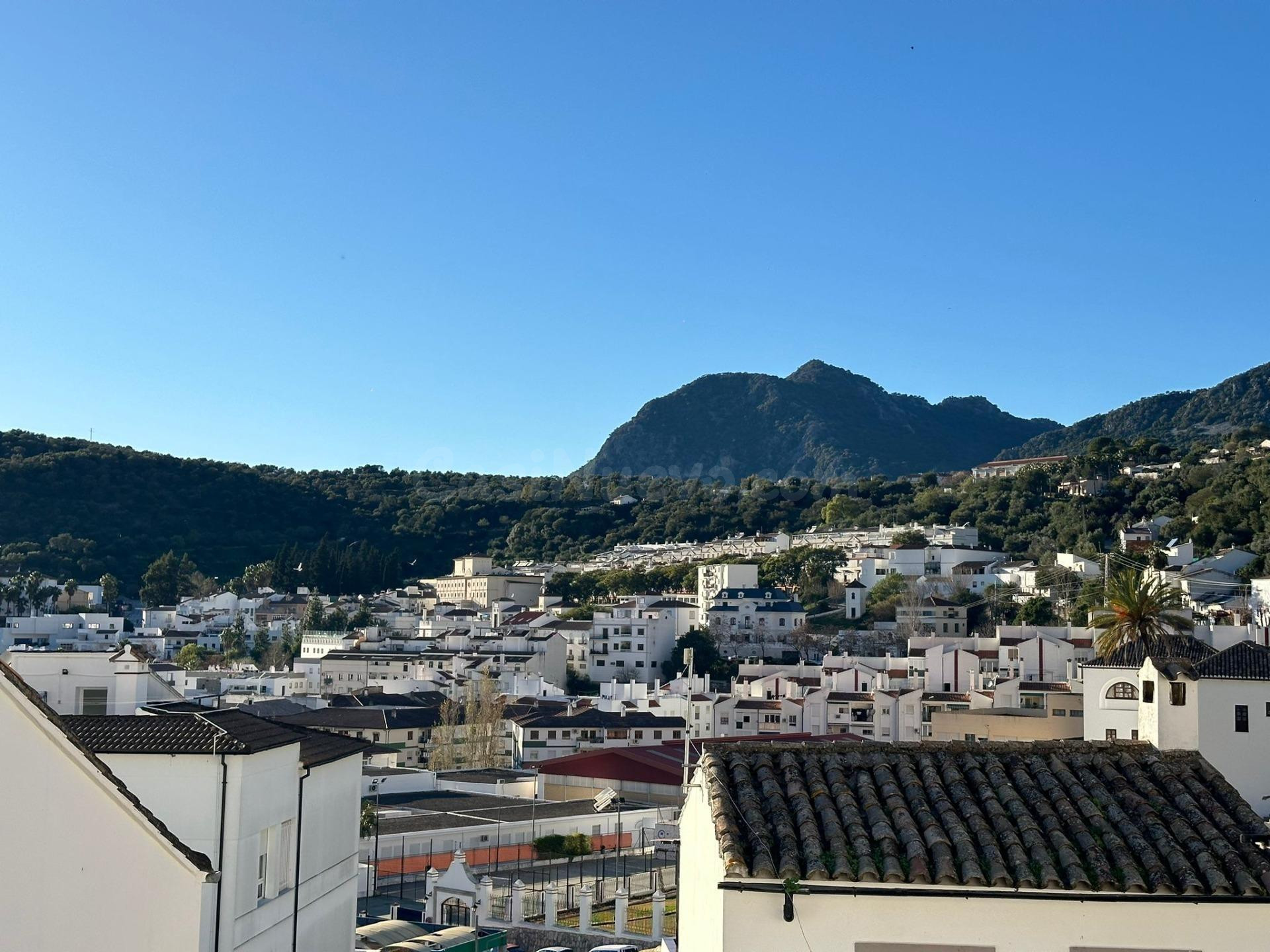 VENTA CASA. ZONA CASCO ANTIGUO - foto 2