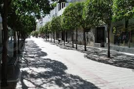 VENTA AMPLIO GARAJE/LOCAL COMERCIAL CÉNTRICO - foto 5
