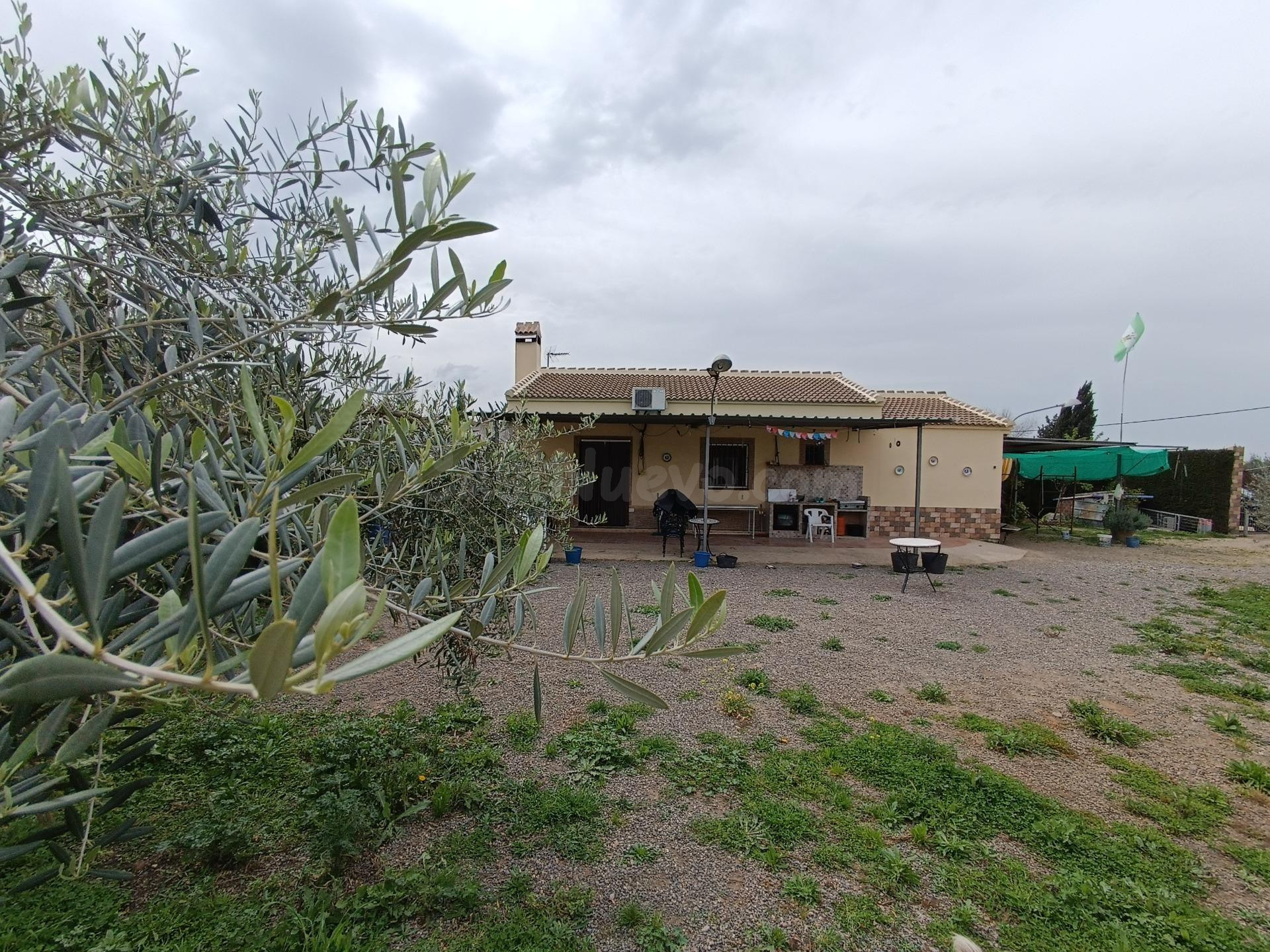 VENTA PARCELA CON CASA Y PISCINA. VILLAMARTIN - foto 2