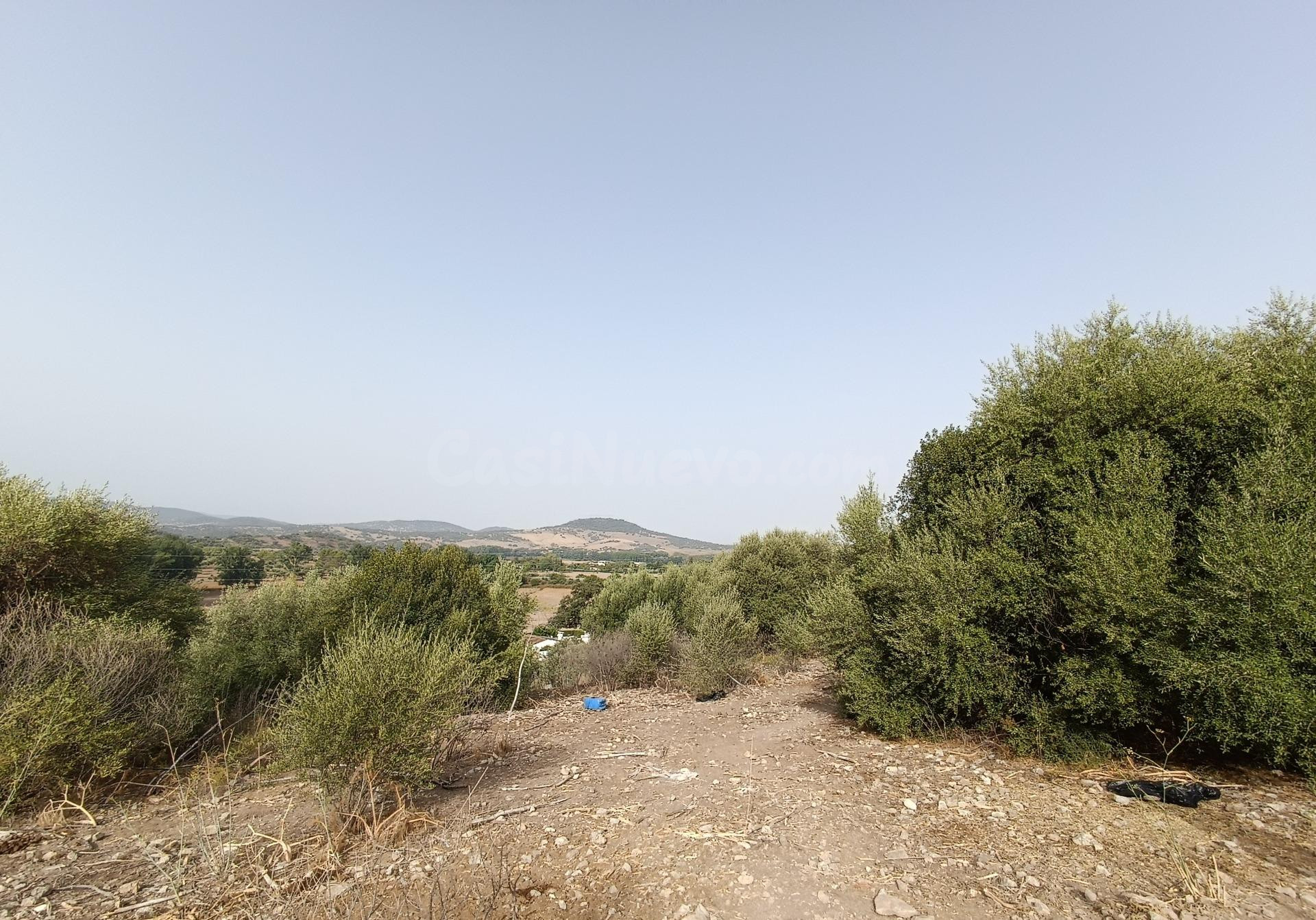 VENTA PARCELA ALREDEDORES DE EL BOSQUE - foto 3