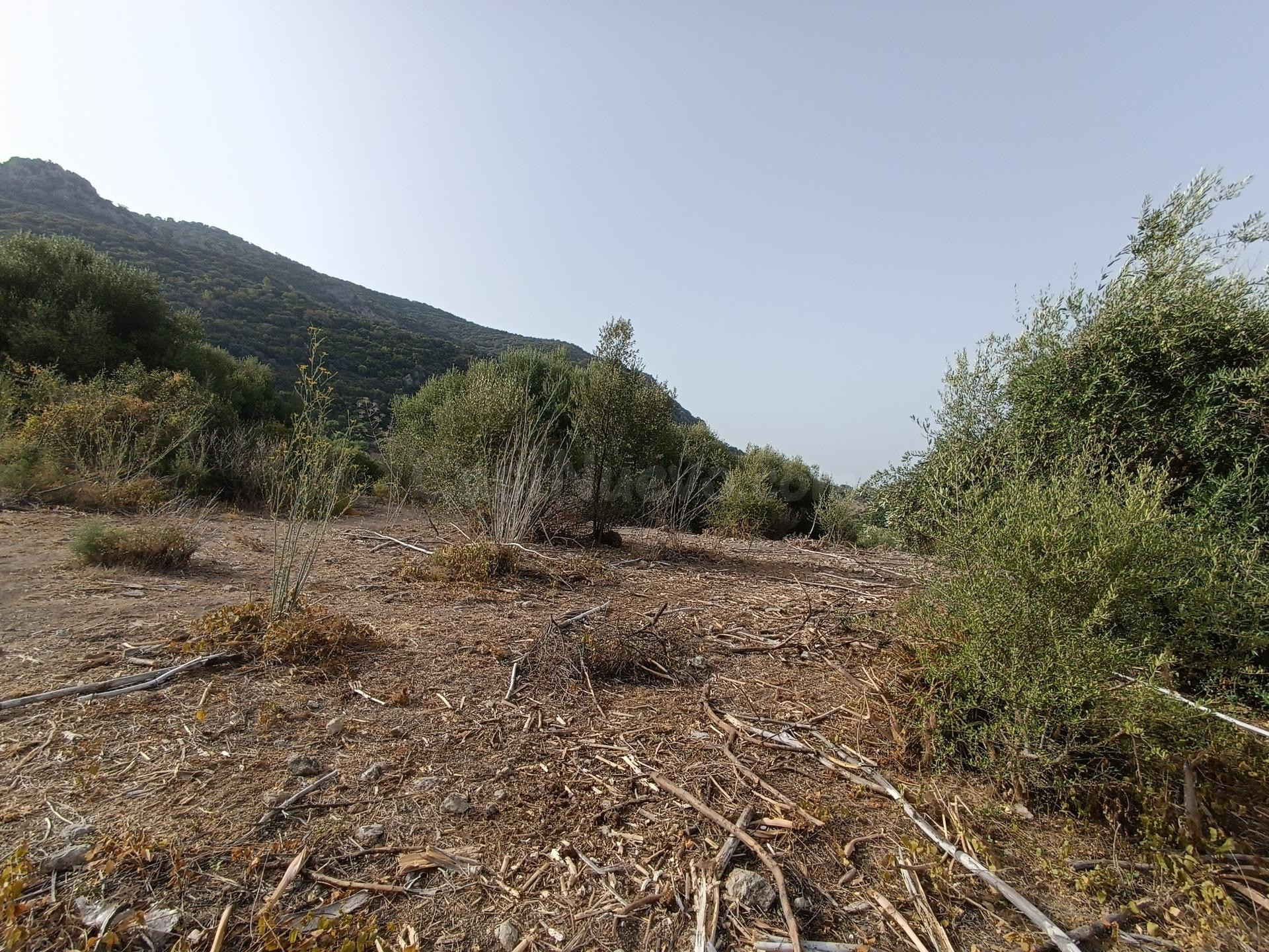 VENTA PARCELA ALREDEDORES DE EL BOSQUE - foto 4