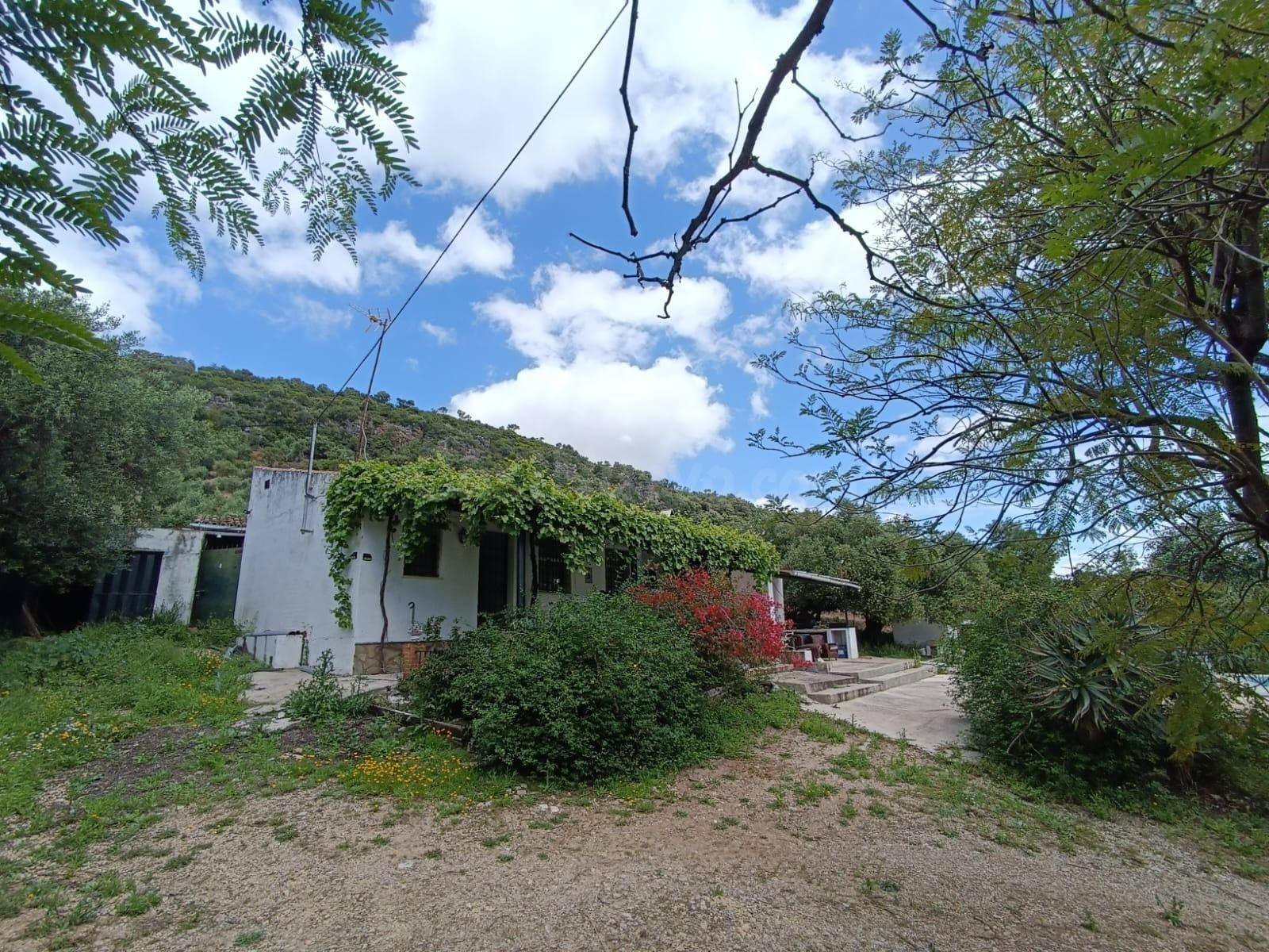 VENTA PARCELA CON CASA Y PISCINA.ZONA PRADO DEL REY - foto 2