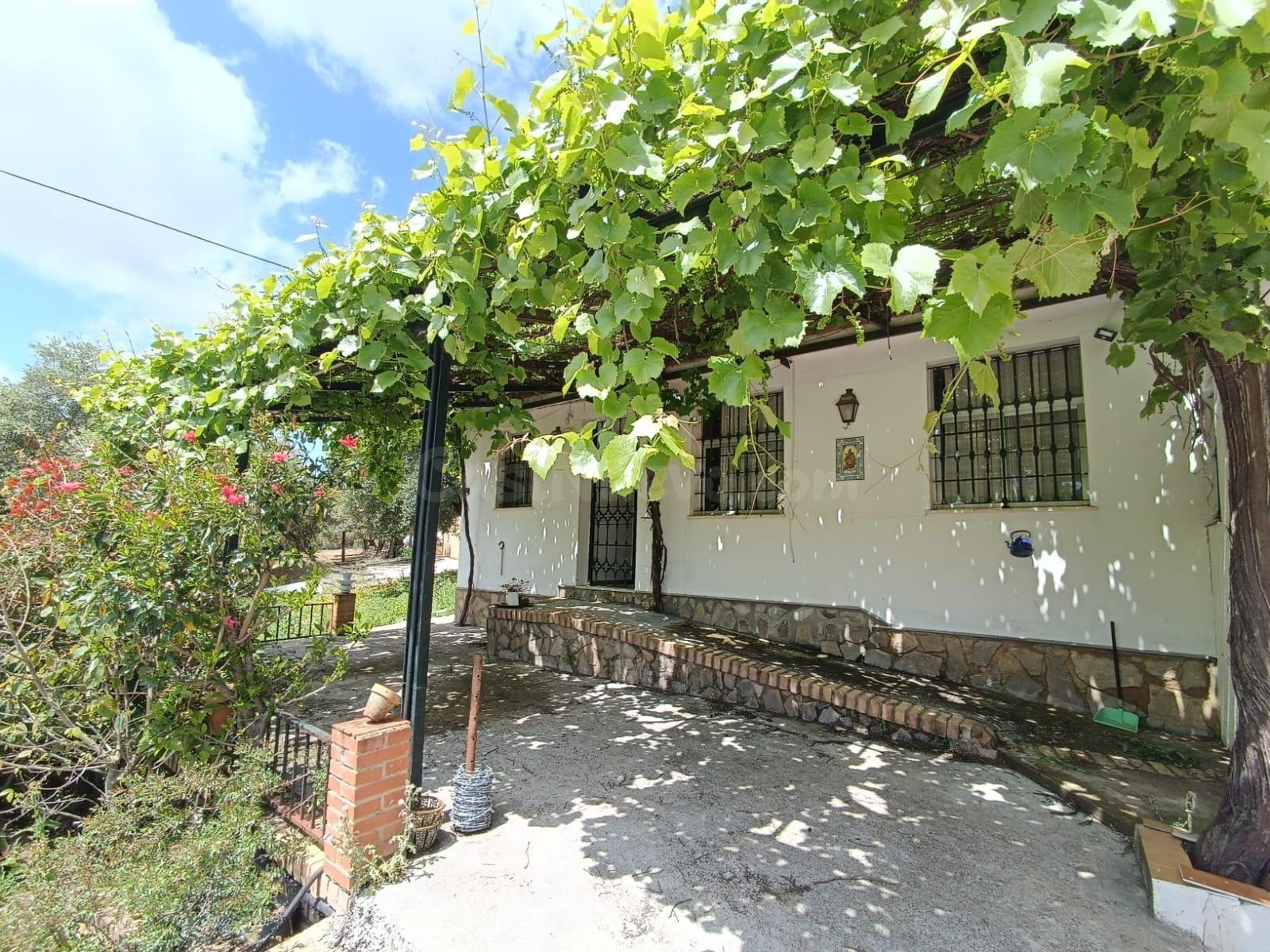 VENTA PARCELA CON CASA Y PISCINA.ZONA PRADO DEL REY - foto 4