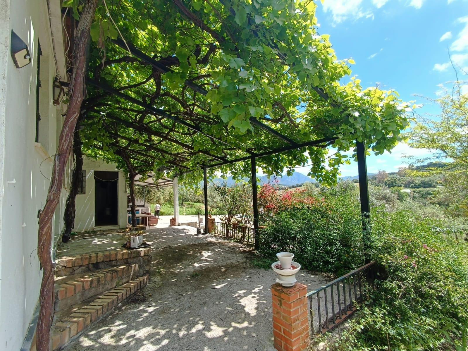 VENTA PARCELA CON CASA Y PISCINA.ZONA PRADO DEL REY - foto 5