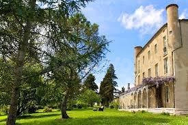 CASTILLO DE ENSUEÑO EN FRANCIA - foto 4