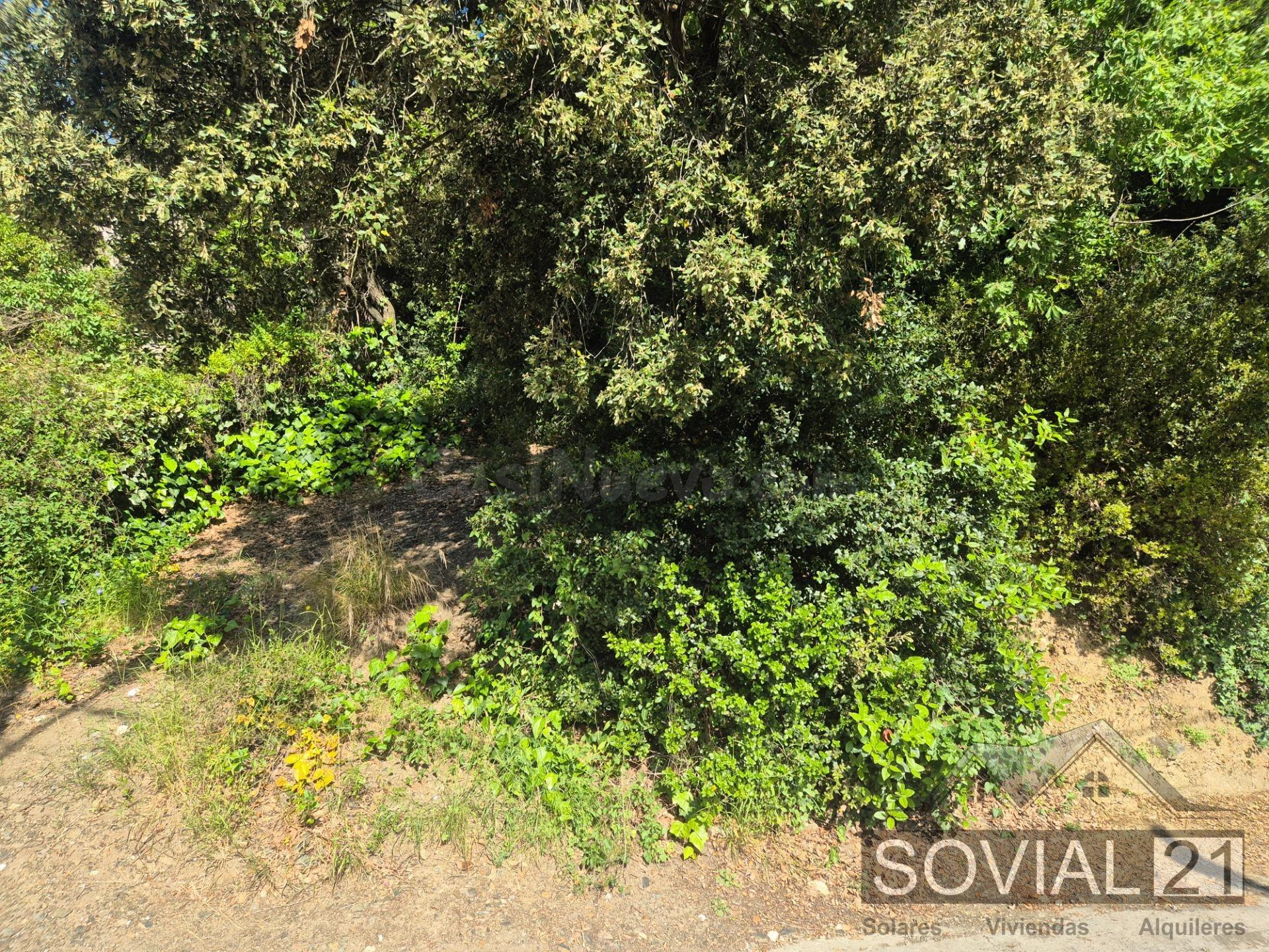 Exclusivo terreno en venta en Las Planes (Sant Cugat del Val