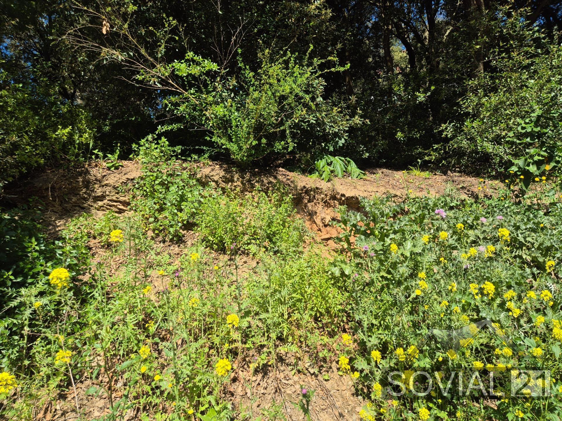 Exclusivo terreno en venta en Las Planes (Sant Cugat del Val - foto 2