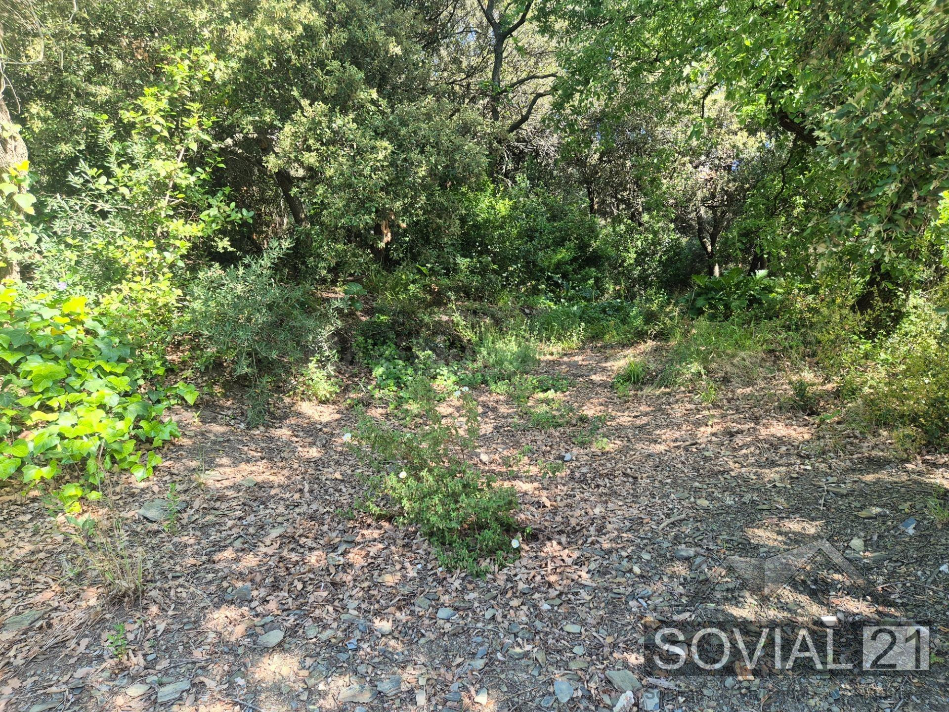 Exclusivo terreno en venta en Las Planes (Sant Cugat del Val - foto 4
