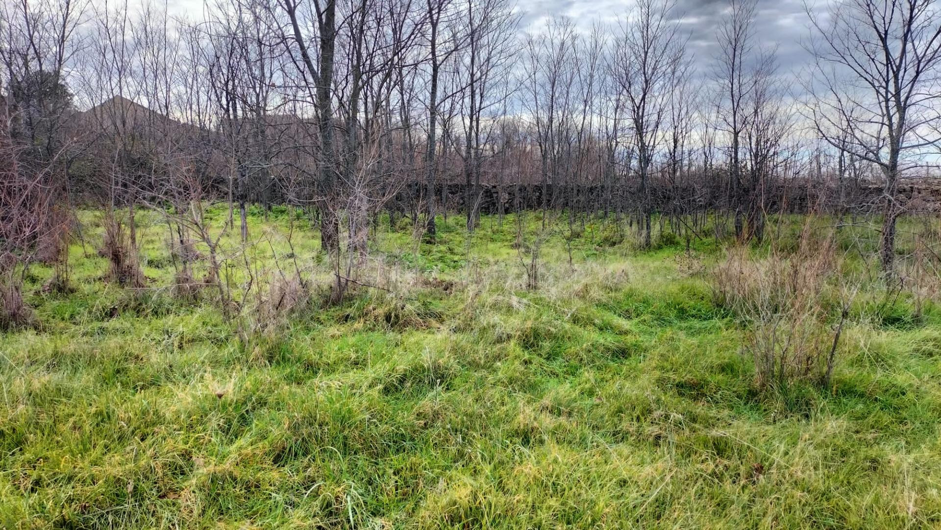 Terreno urbano en venta - Castilla y leon - foto 2