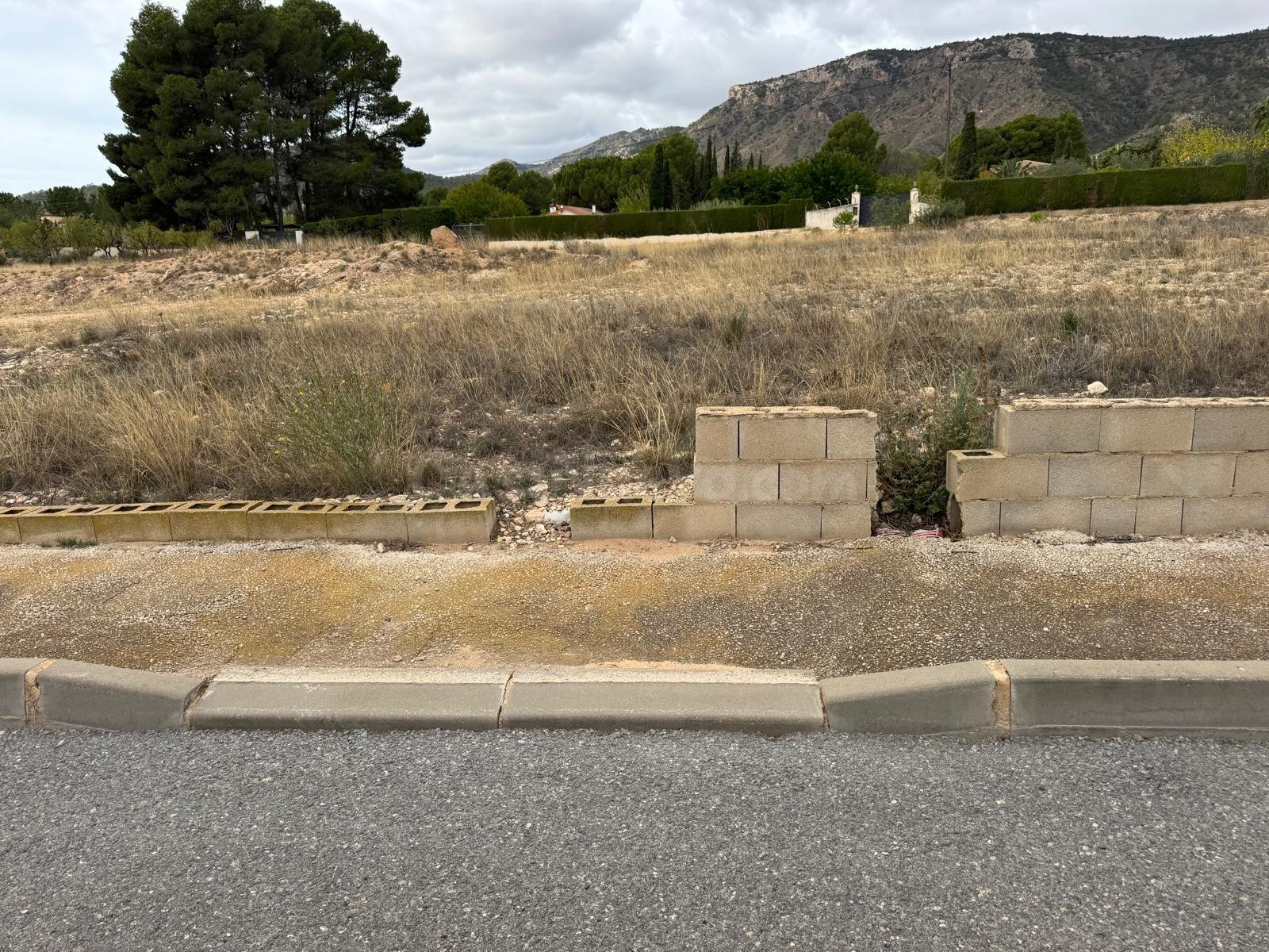 SUELO PARA RESIDENCIAL UNIFAMILIAR EN SALINAS - foto 5