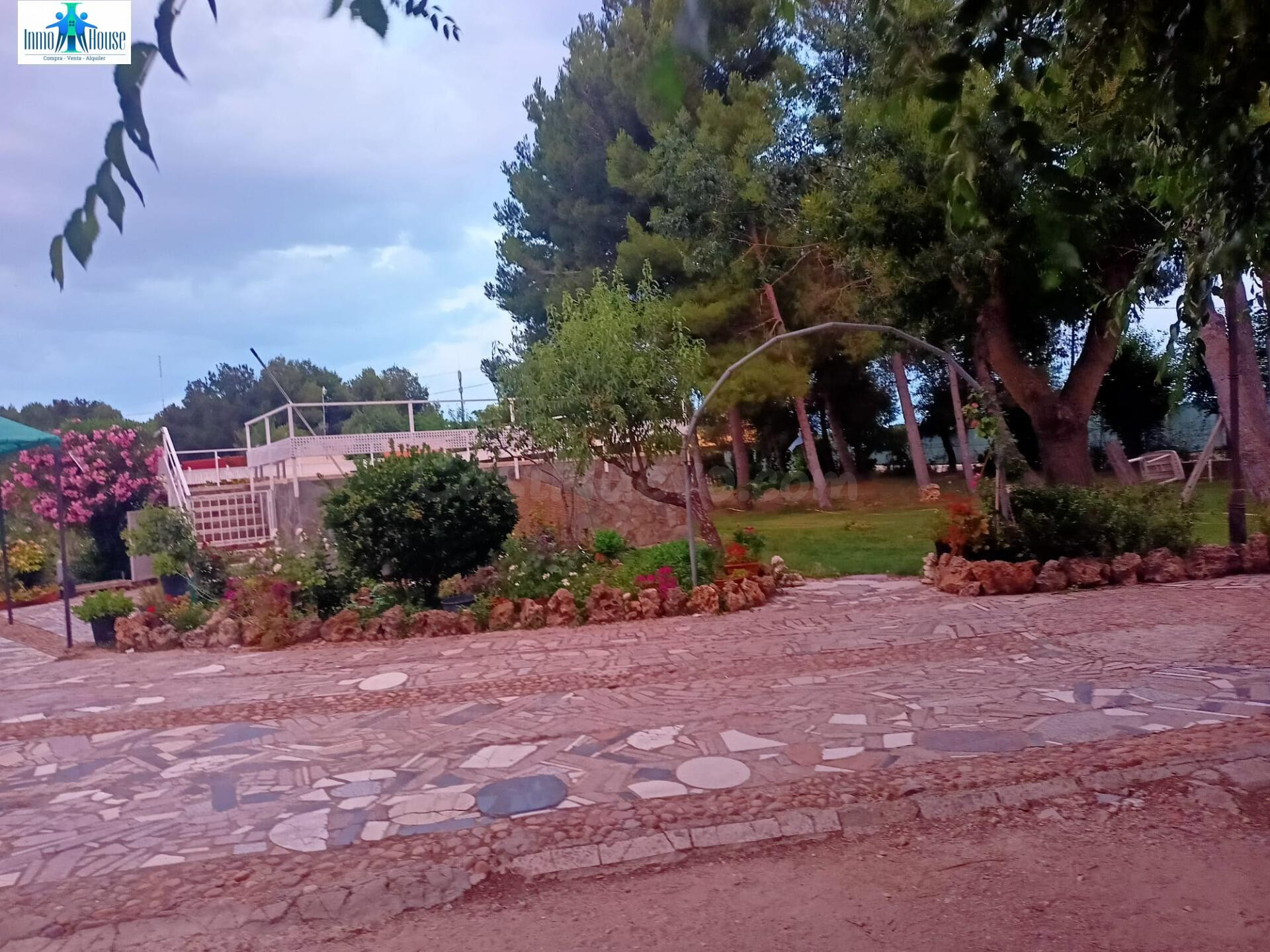 SE VENDE GRAN PARCELA - CASAS VIEJAS - foto 3