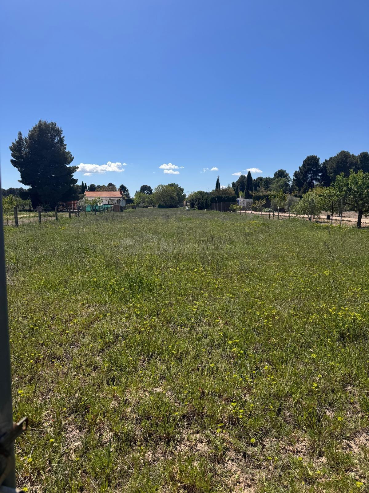SE VENDE TERRENO EN CAMINO DEL MOLINICO - foto 4