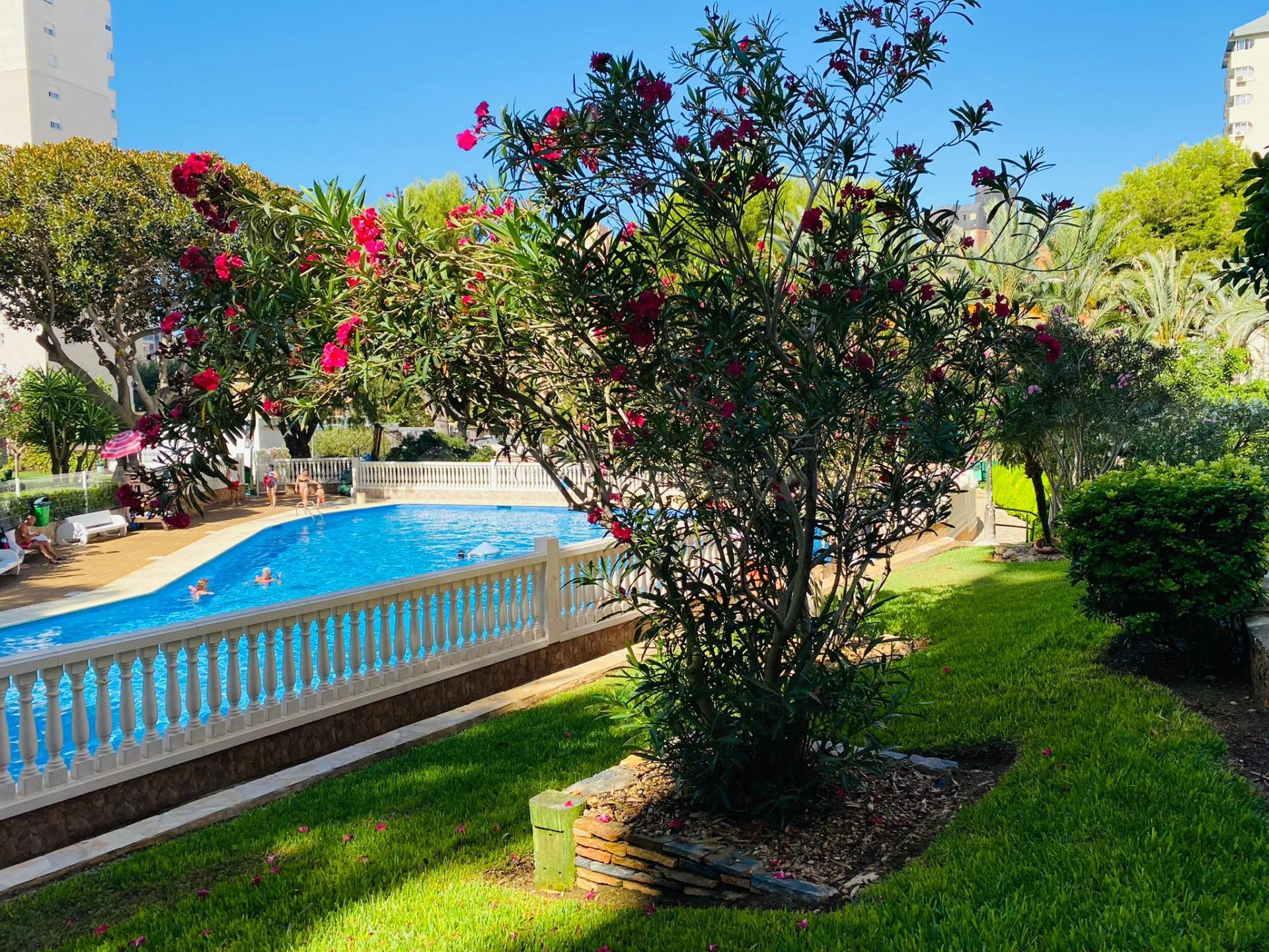 APARTAMENTO 1 DORMITORIO CON PARKING Y PISCINA ENR INCON DE LOIX