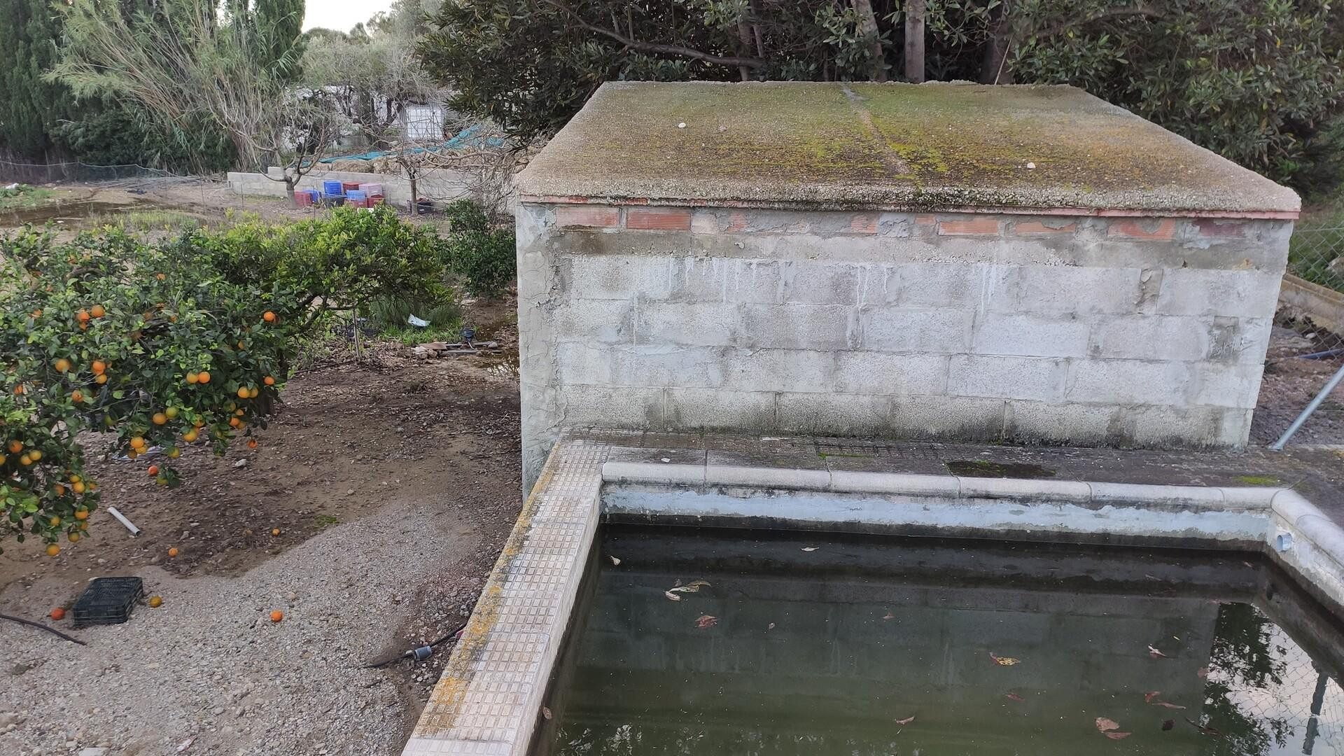 Terreno en venta en Amposta para cultivar tus plantas - foto 5