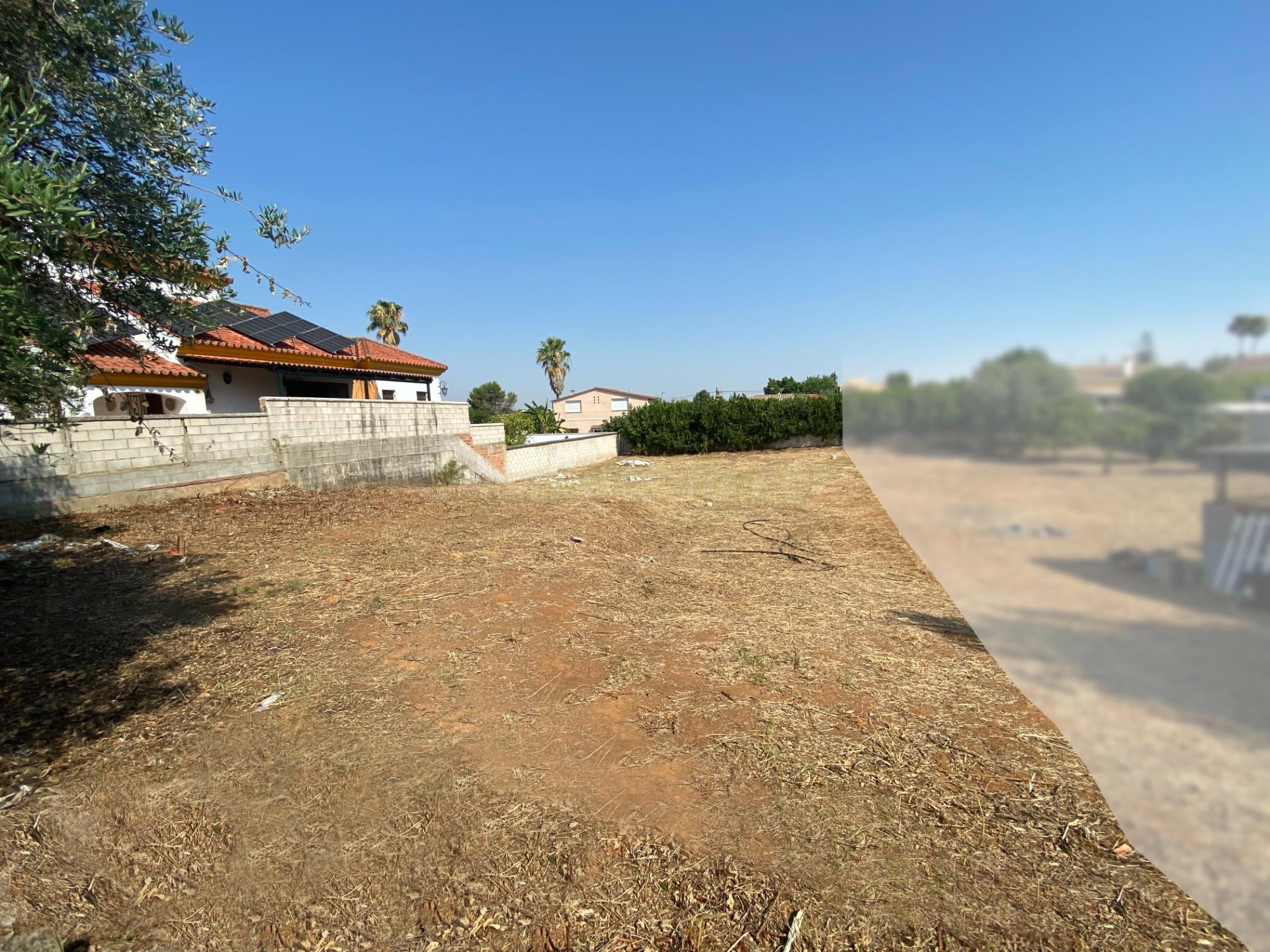 Terreno urbano en palomares, en urb. La laguna - foto 4