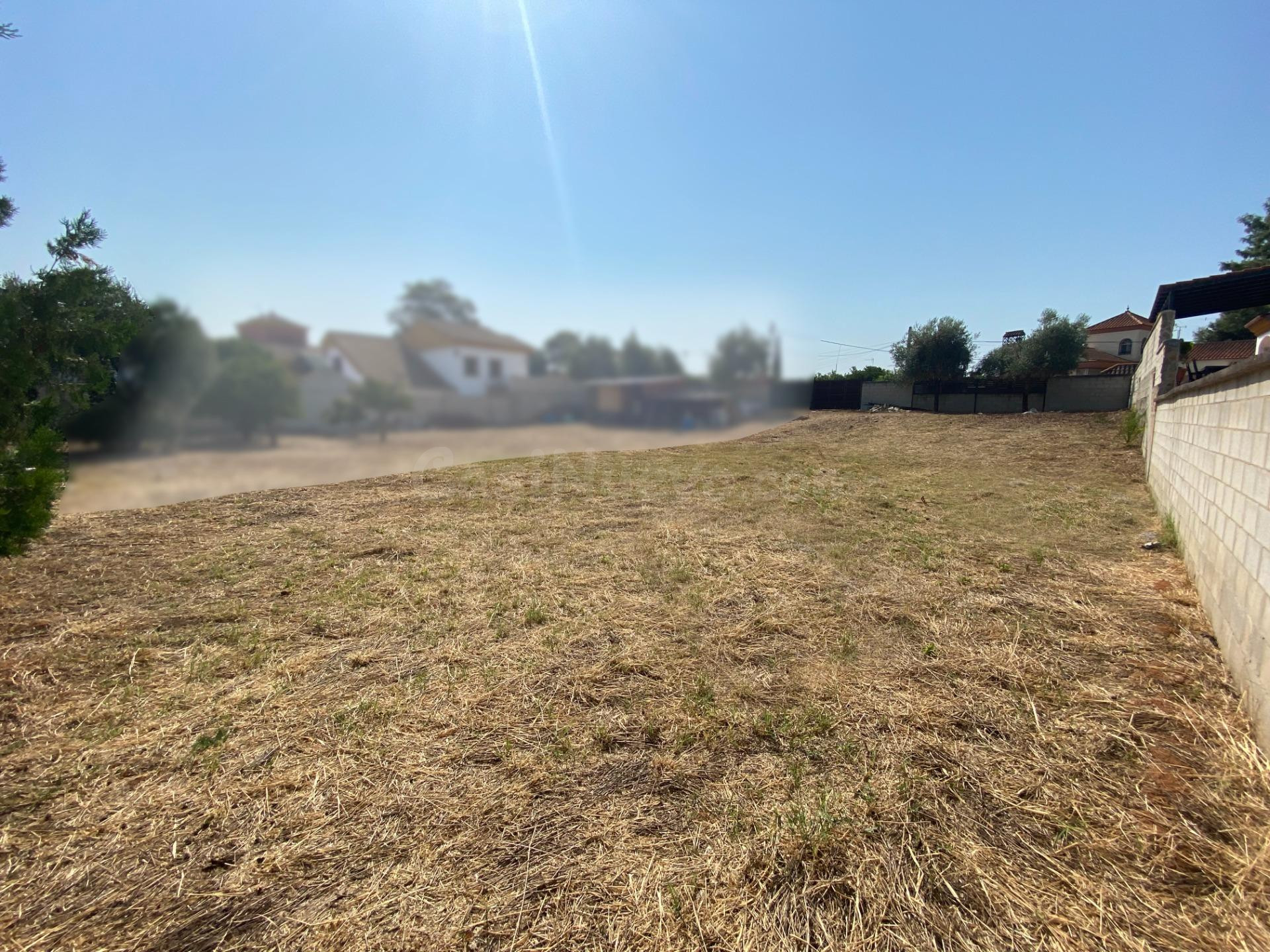 Terreno urbano en palomares, en urb. La laguna - foto 5