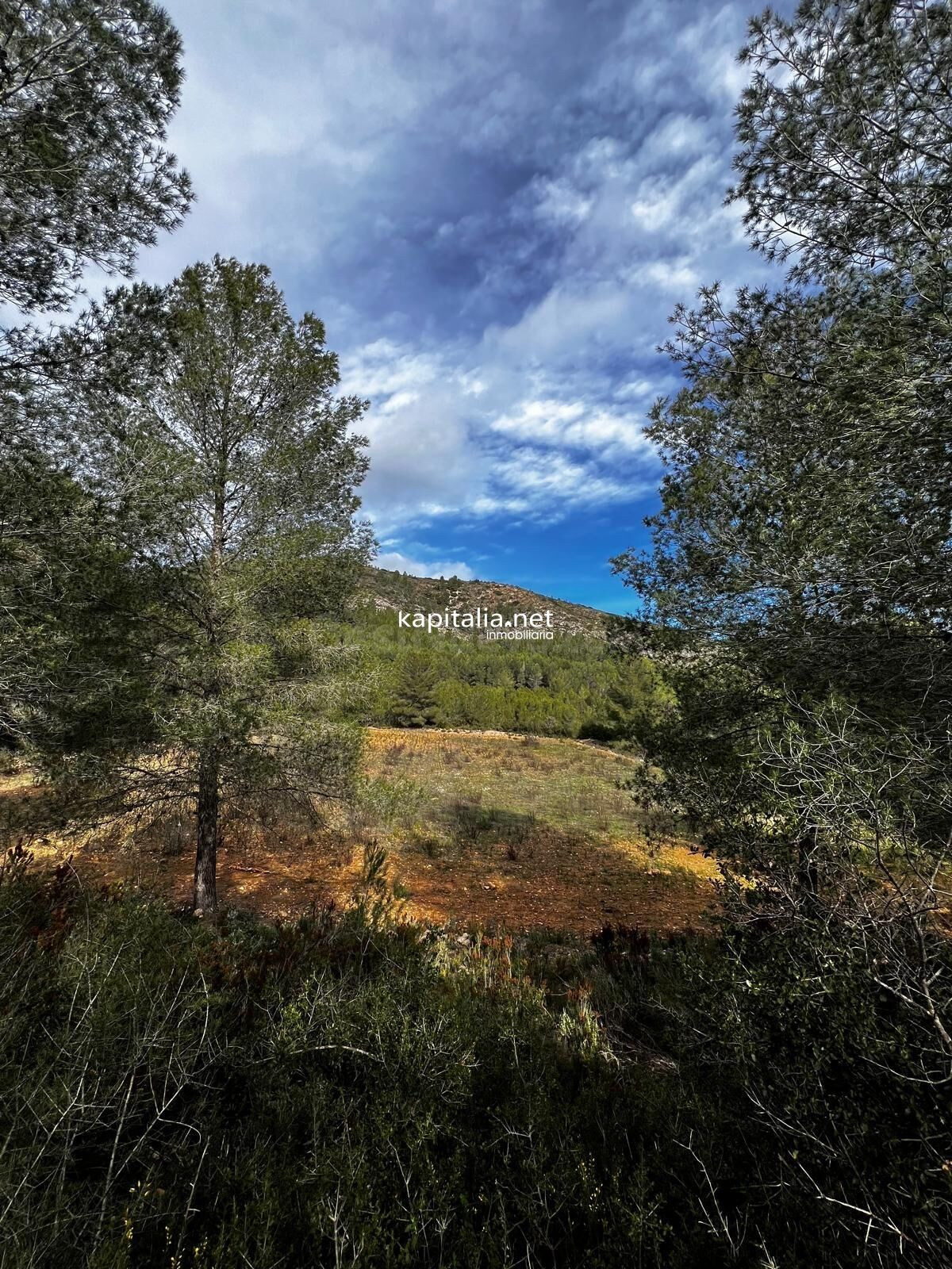 Terreno a la venta en Olleria - foto 4
