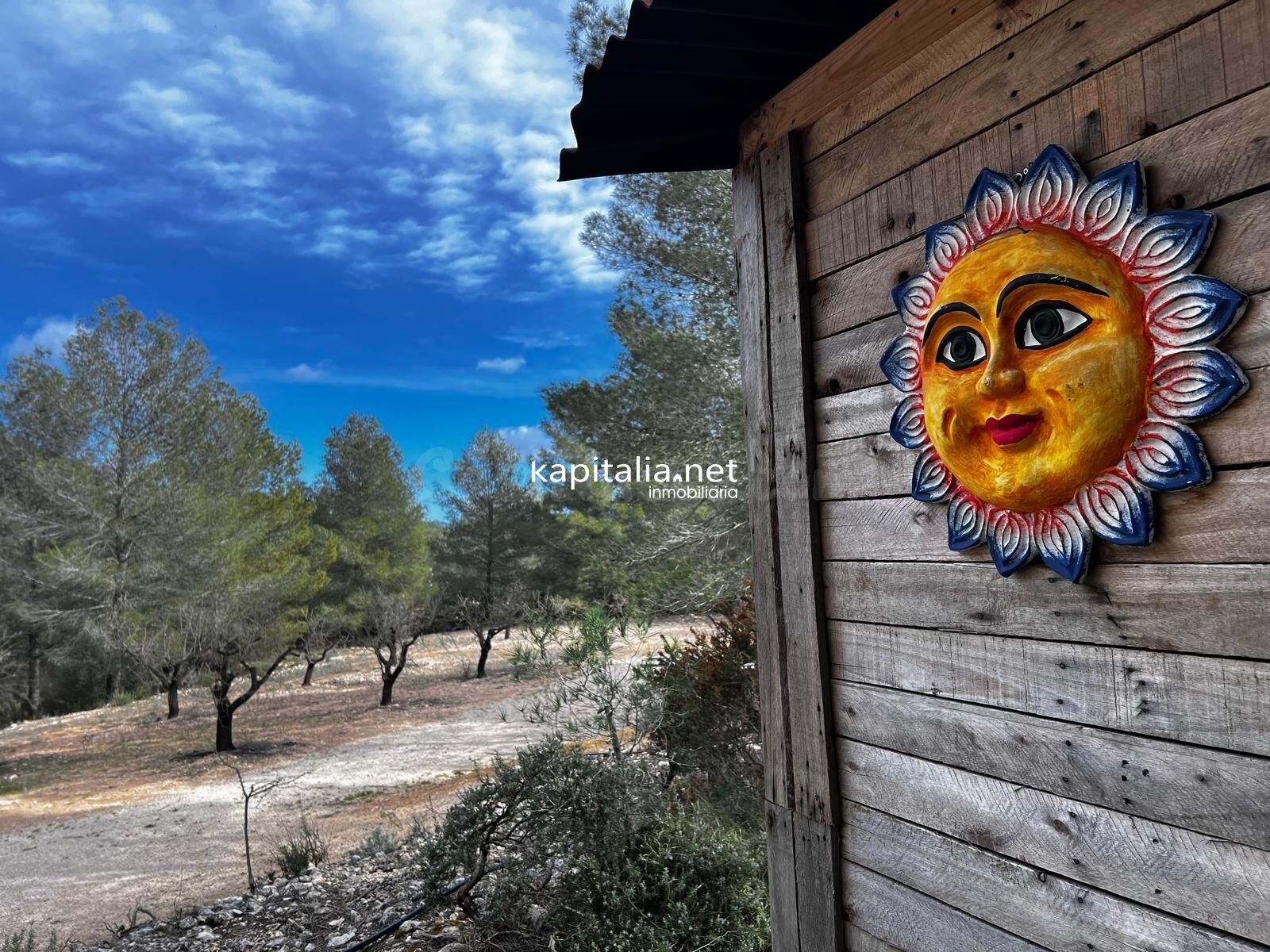 Terreno a la venta en Olleria - foto 5