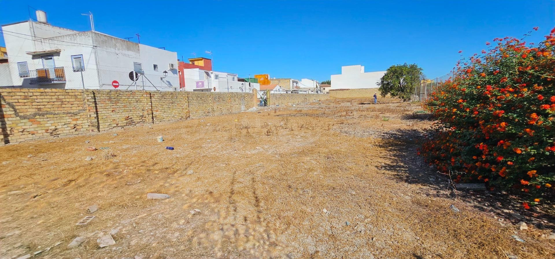 ¡¡ OPORTUNIDAD ÚNICA!! SOLAR UBANO PARA CONSTRUIR EN EL ARAL - foto 2