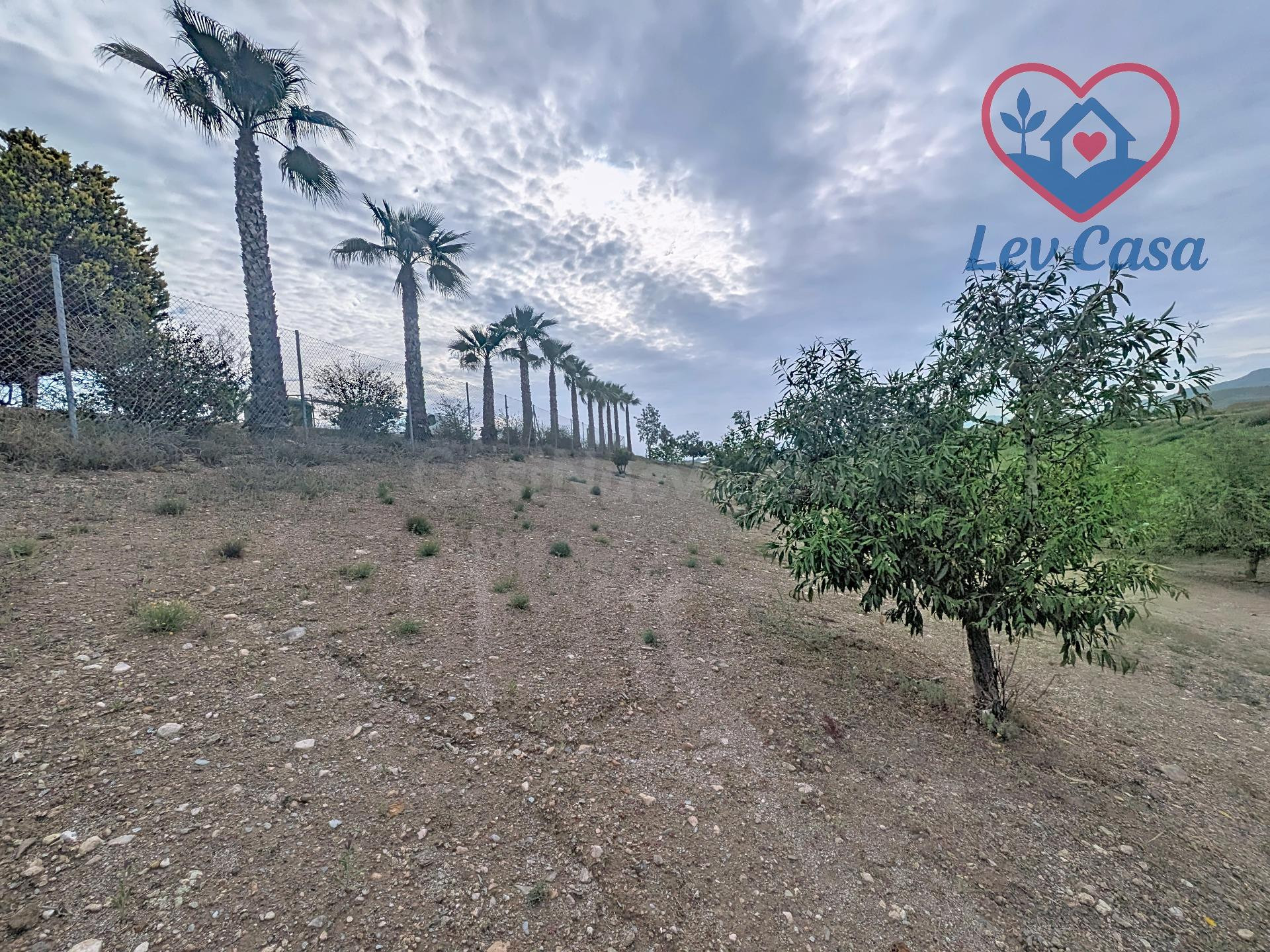Casa de campo en venta en Atalaya, Mazarrón, con 18.000 m2 d - foto 3
