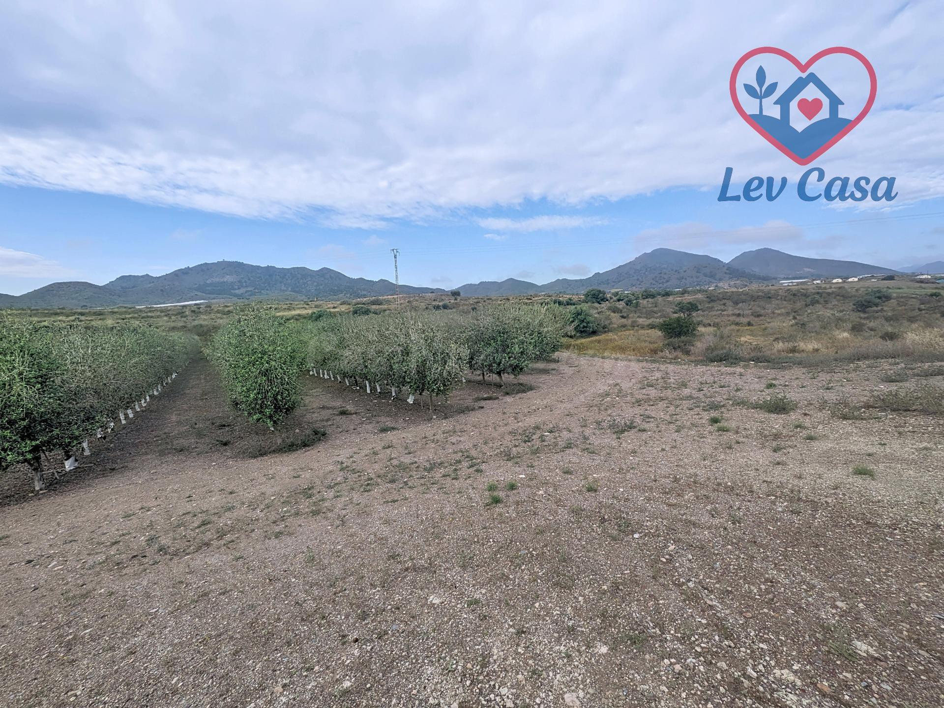 Casa de campo en venta en Atalaya, Mazarrón, con 18.000 m2 d - foto 4