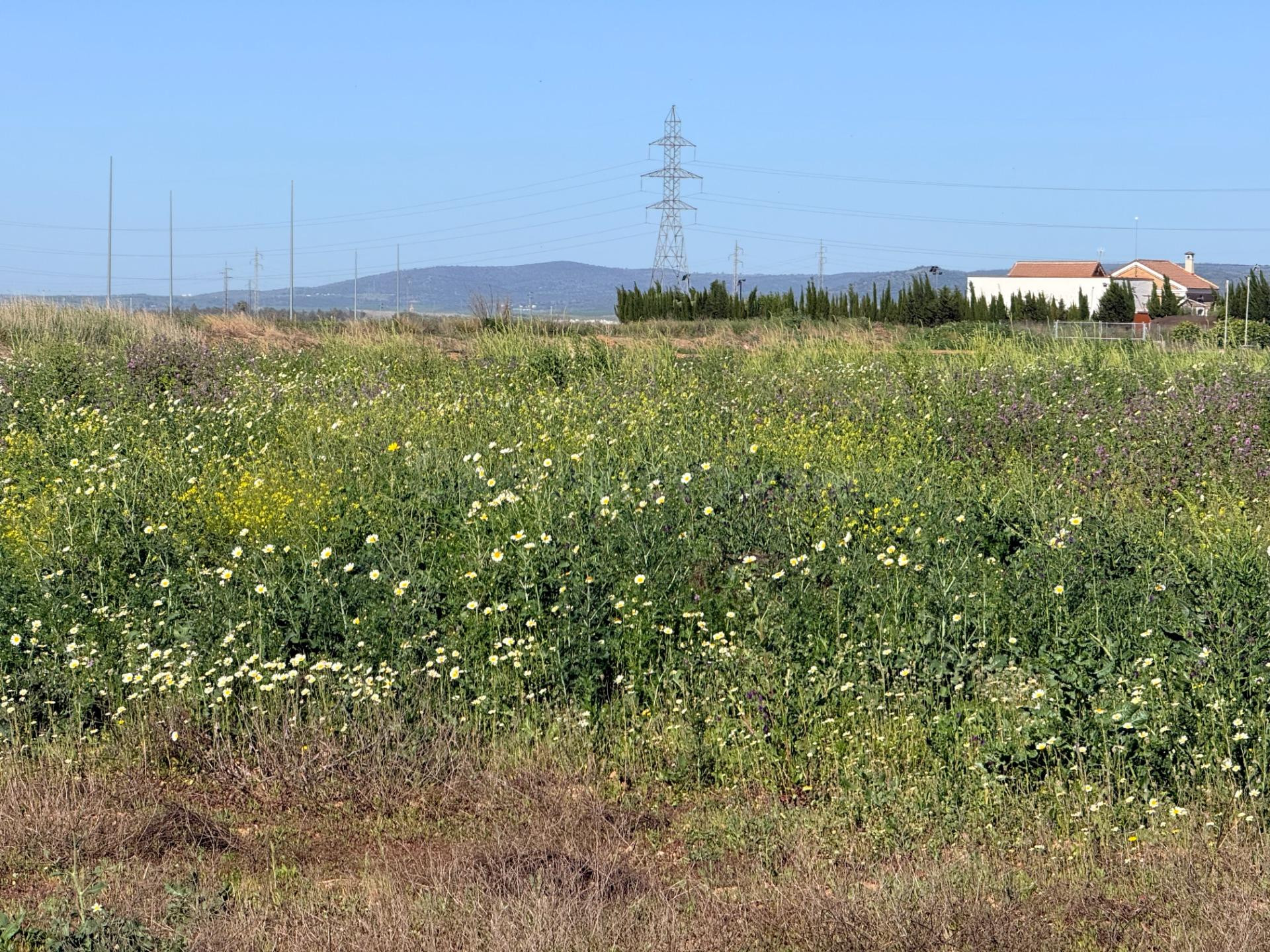 Terreno urbanizable 787m² en venta - LOS ROSALES - foto 3