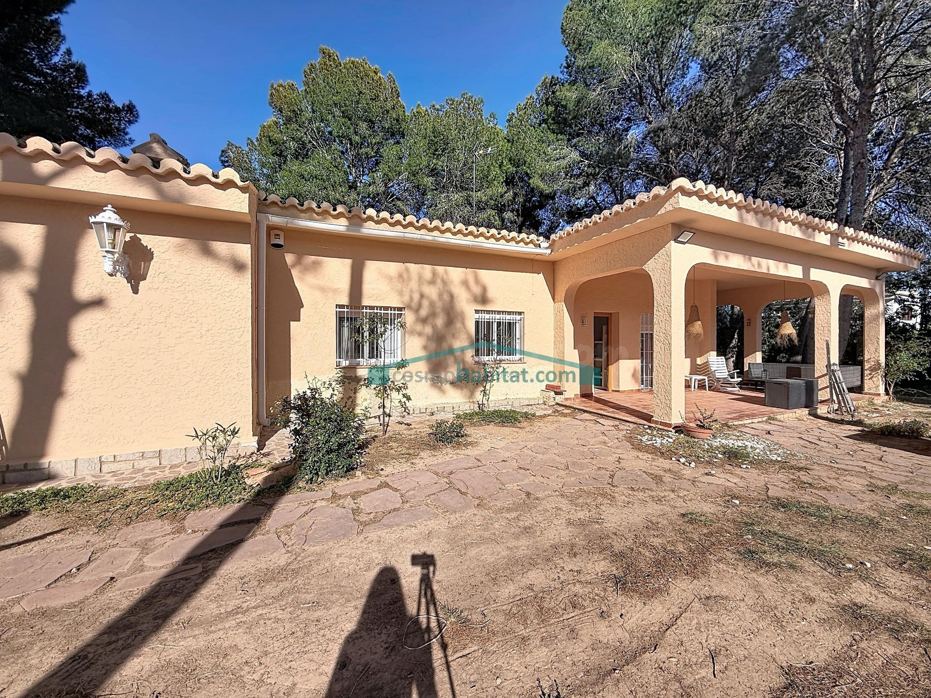 Chalet independiente en venta, una sola planta en El Plantío - foto 3